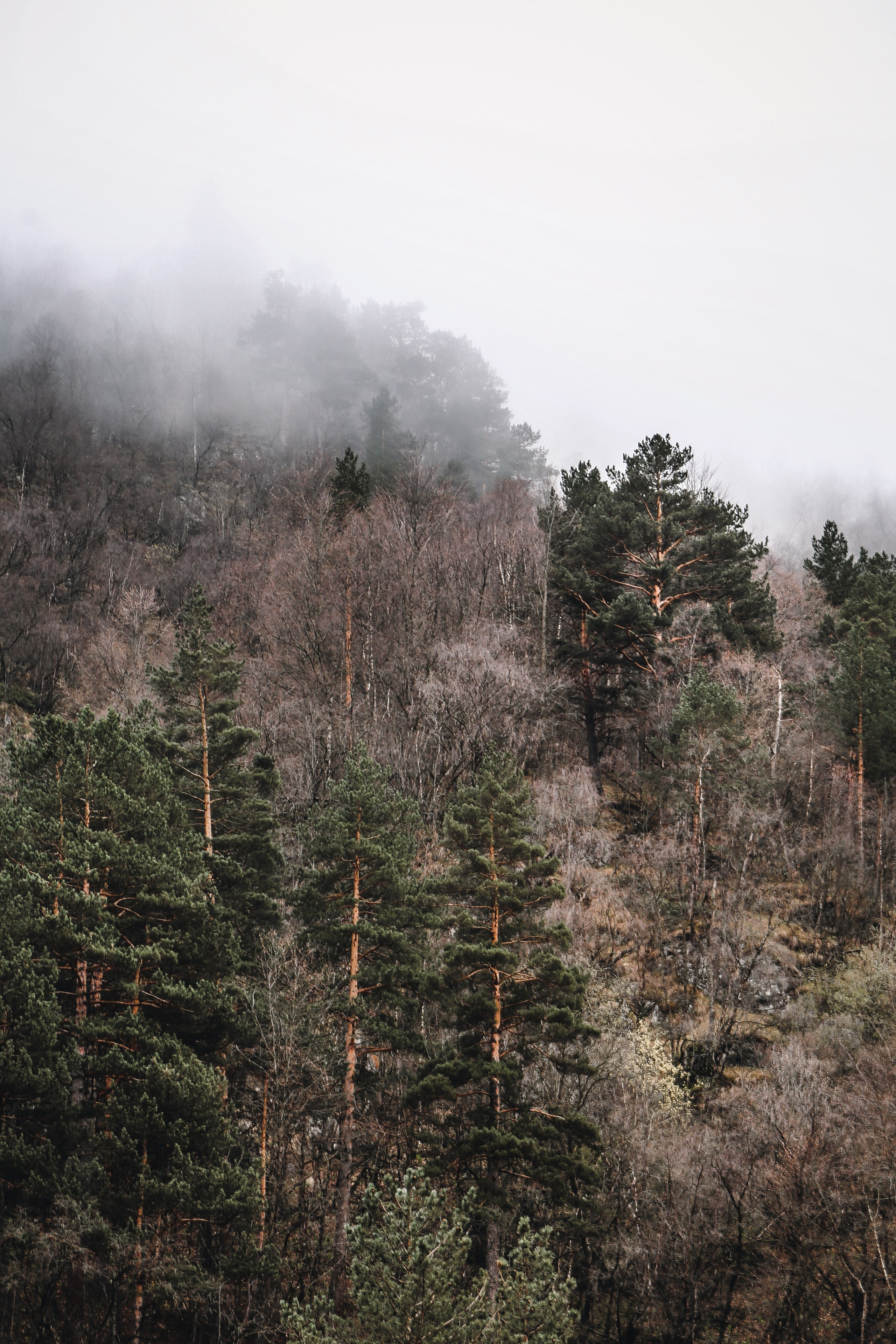 Кавказ: Северная Осетия. Дарья Письменюк / Darya Leitstern — фотограф, музыкант, журналист, путешественник