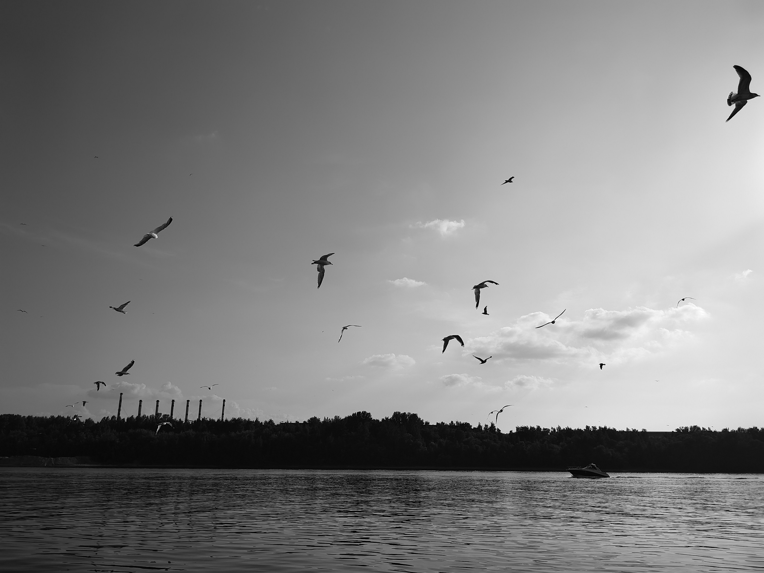 Галерея Huawei p60. Константин Устинов — фотограф