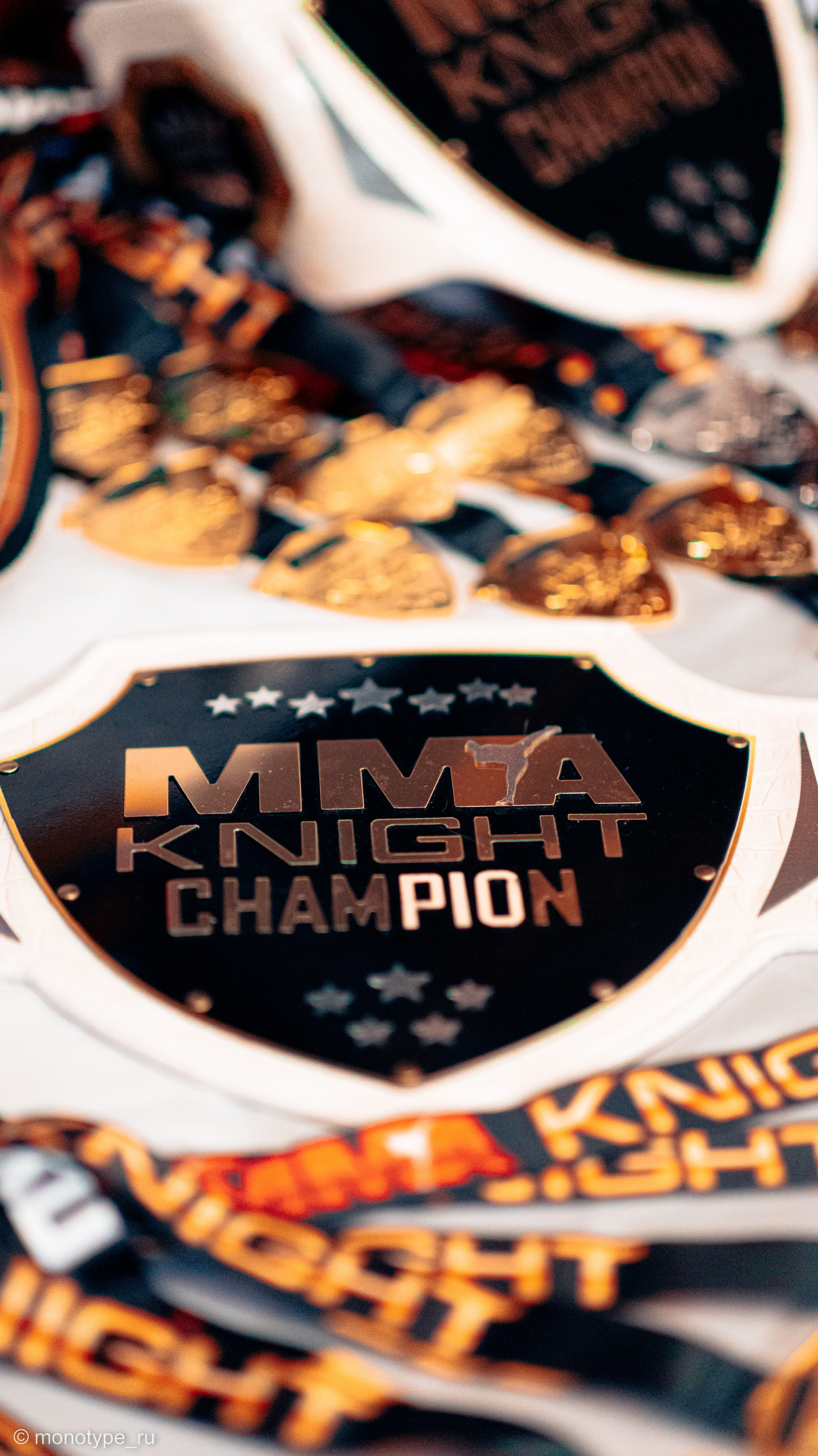 MMA. Бойцовский турнир