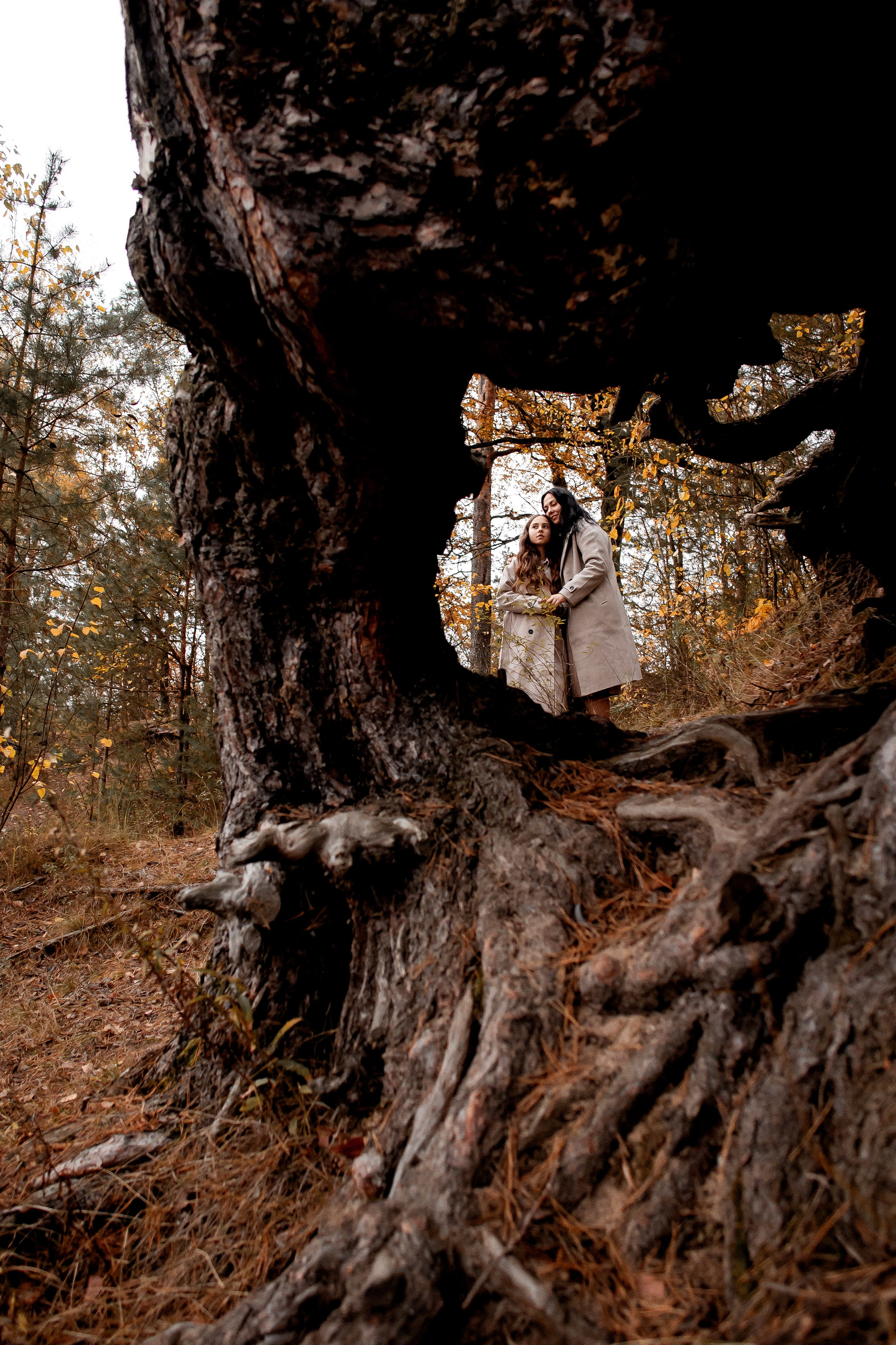 Осенняя съемка в Чёнках. Детский и семейный фотограф Алёна Агеева