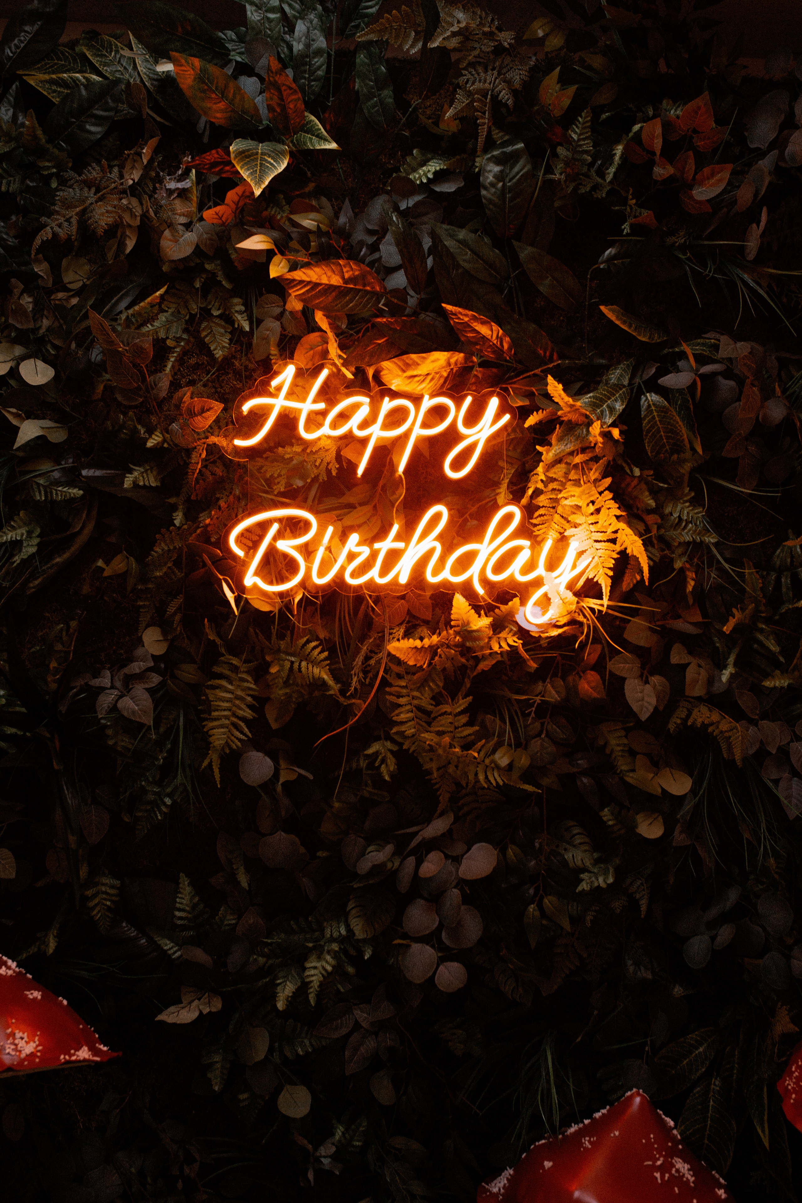 День рождения Лёвы