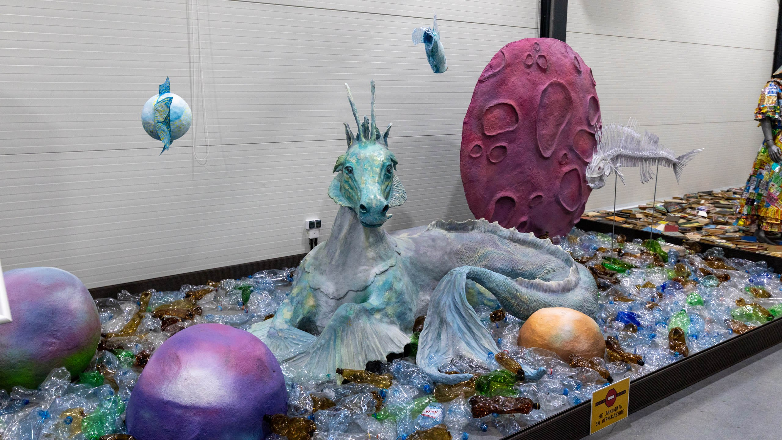 2024 01 Калининград (Светлогорск, Зеленоградск). Фотографии