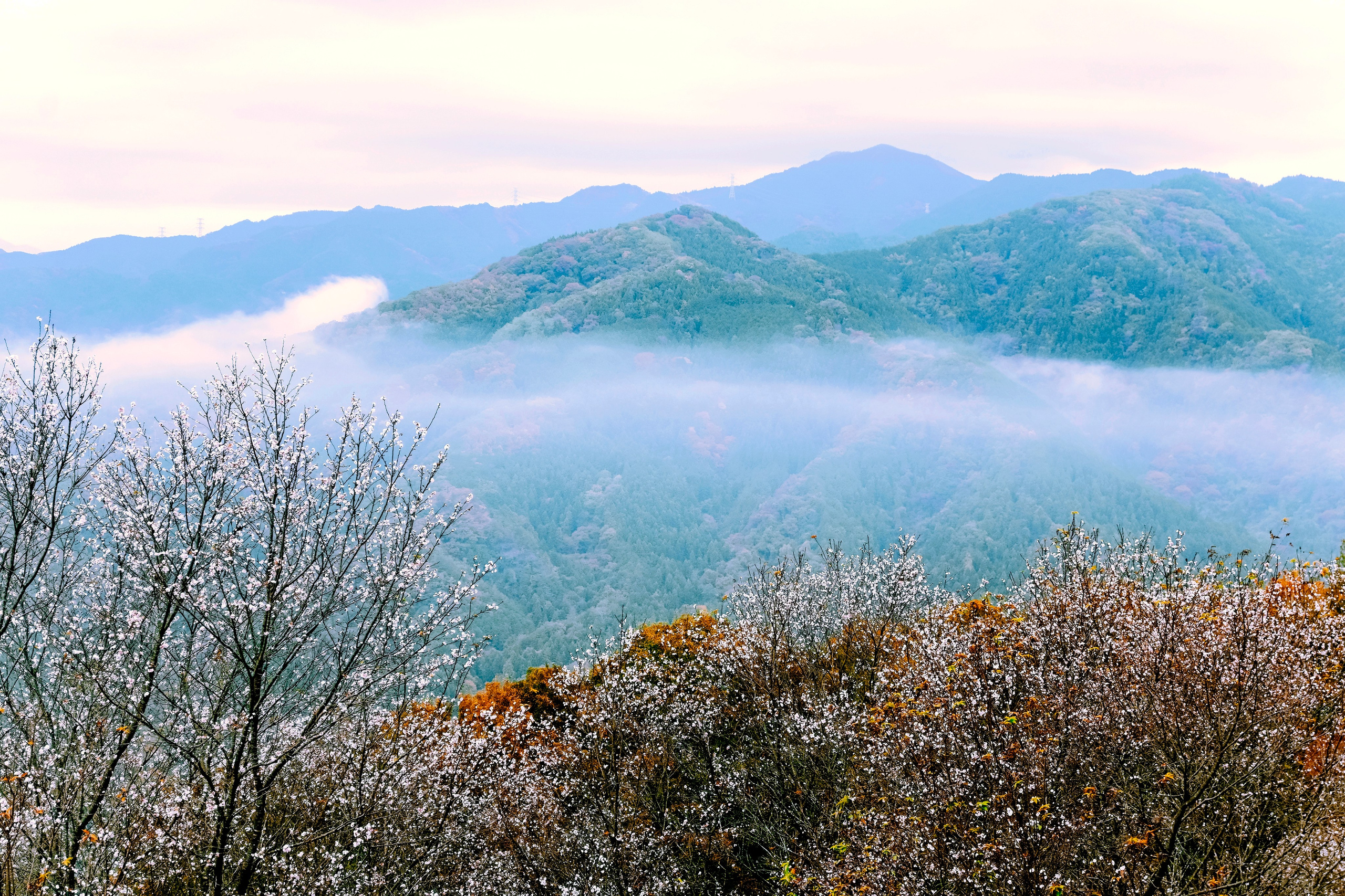 Japan village street. Iraogo