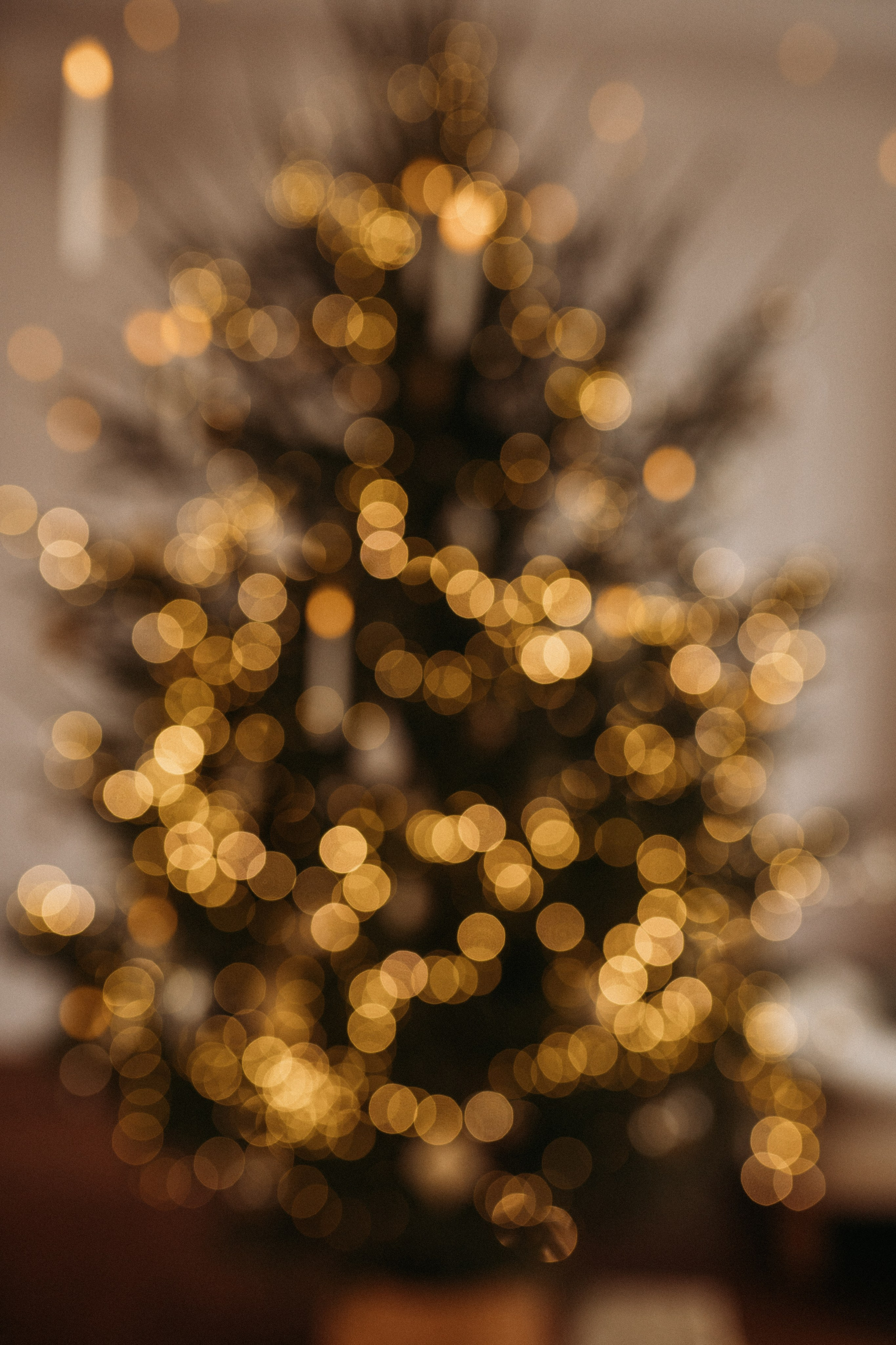 Новогоднее портфолио. Семейный и детский фотограф в Краснодаре