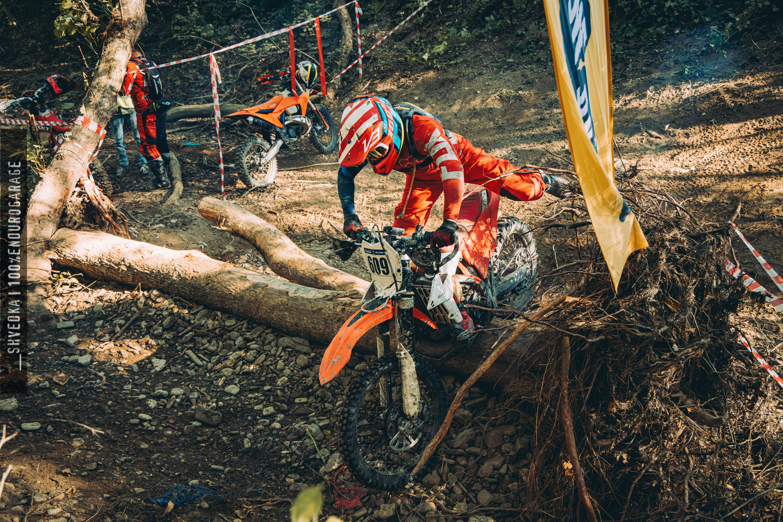 2 лесной день. Ваш экстрим фотограф Кудрева Яна