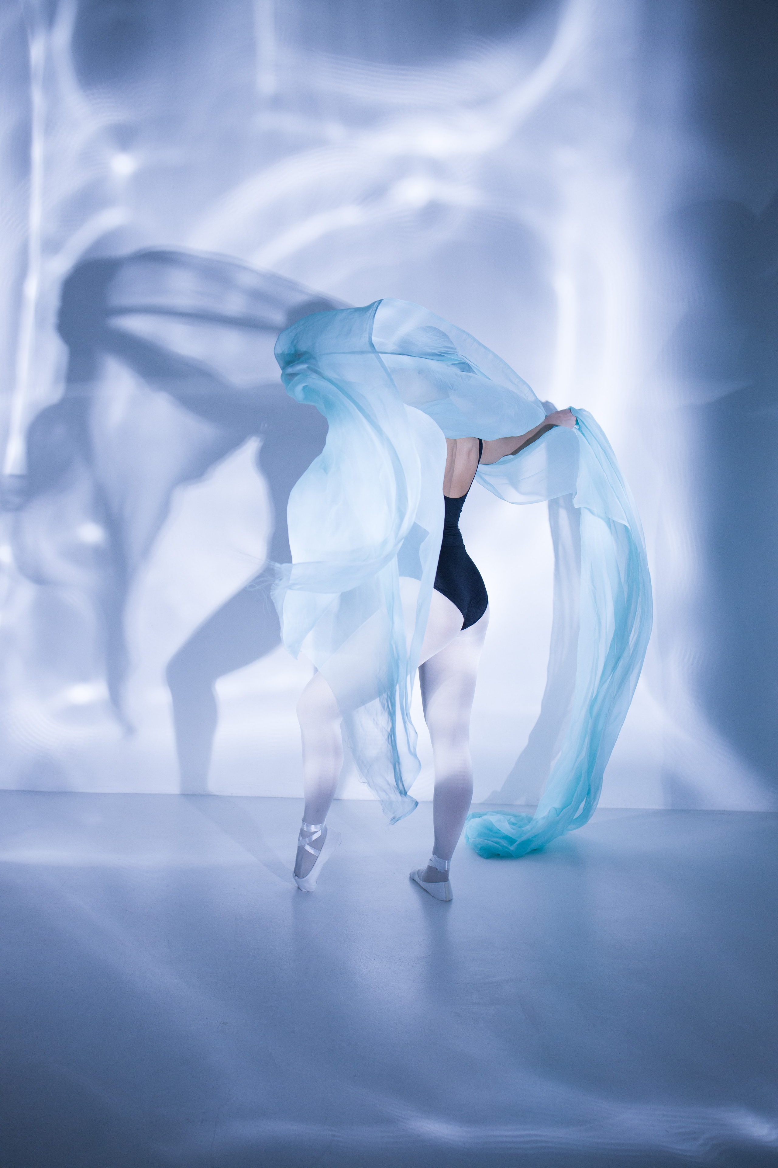 Лилия. Художественная фотография