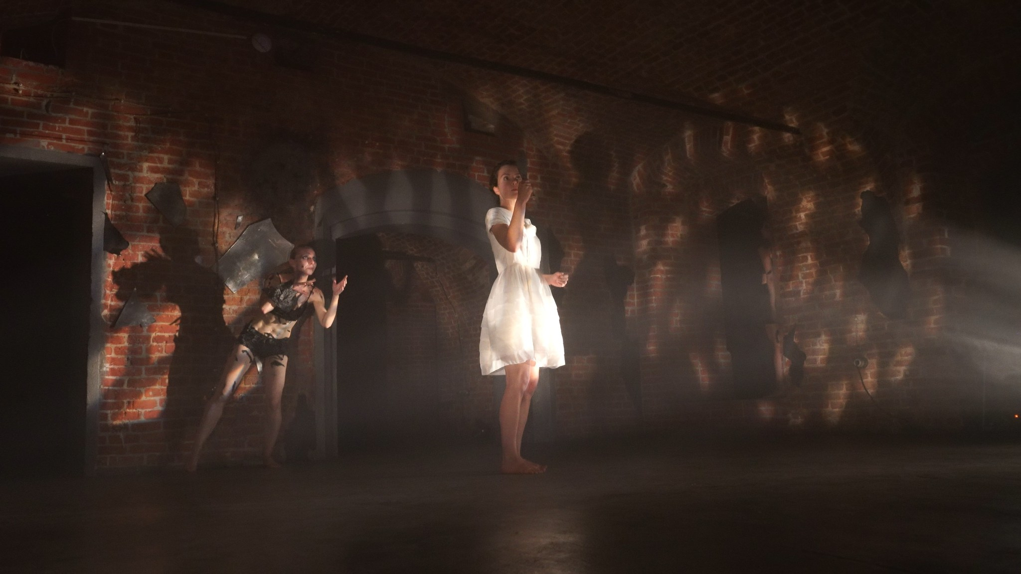 Красное дерево. Фото / Видеосъемка в Москве