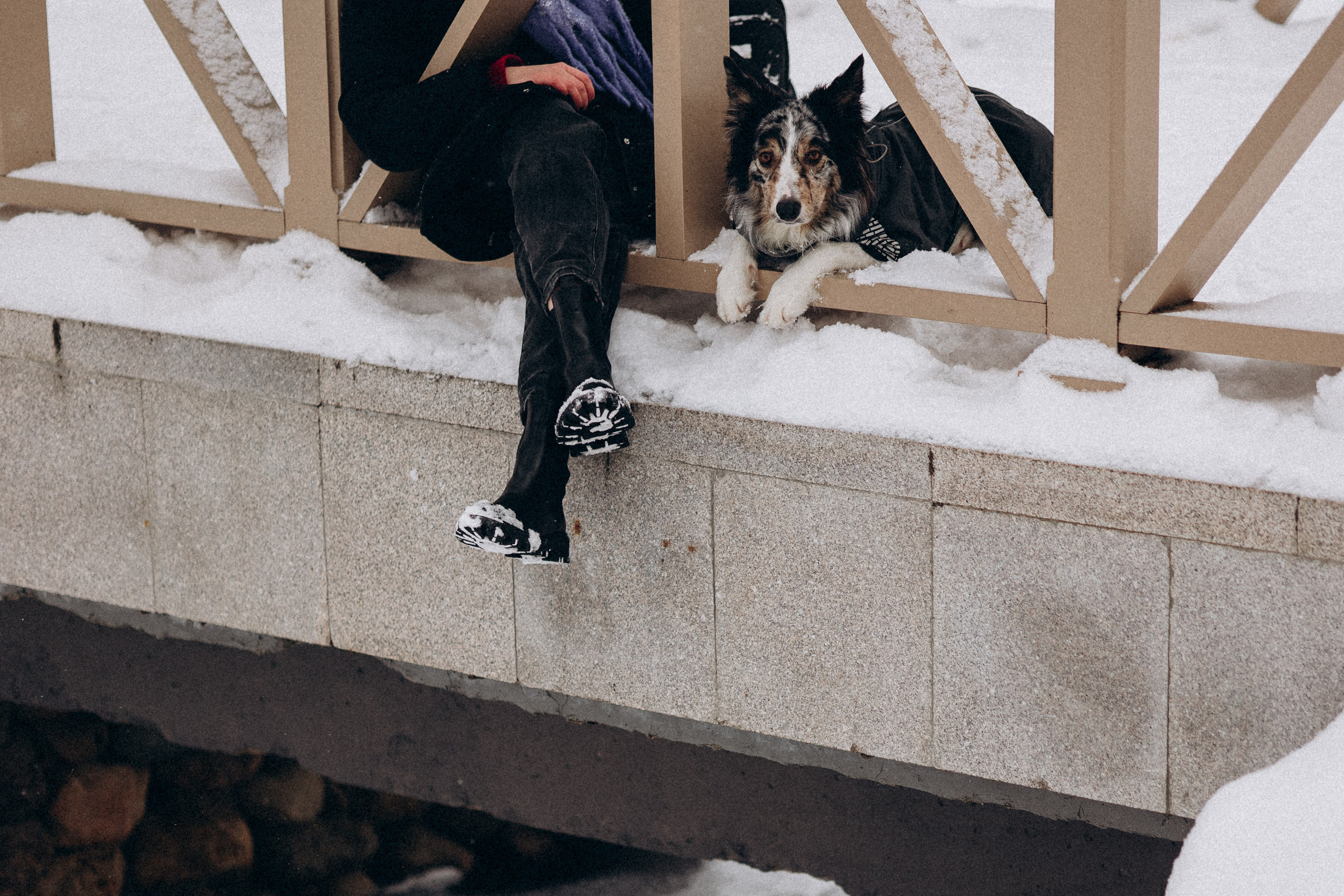 Настя и Тор. Фотораф — анималист Мария Шистка