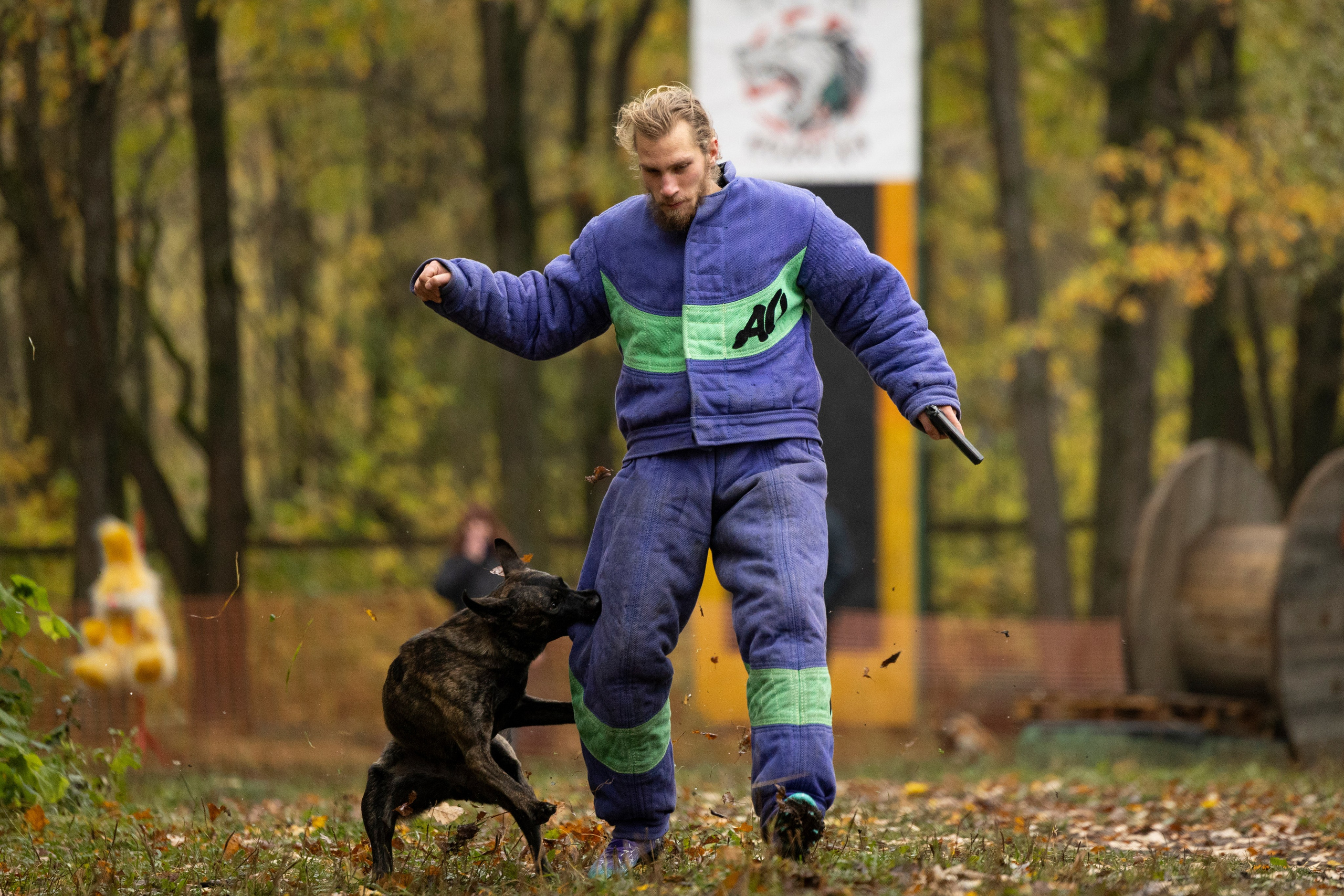 Соревнования по Мондьорингу г. Вологда. Фотограф-анималист Анна Маринич