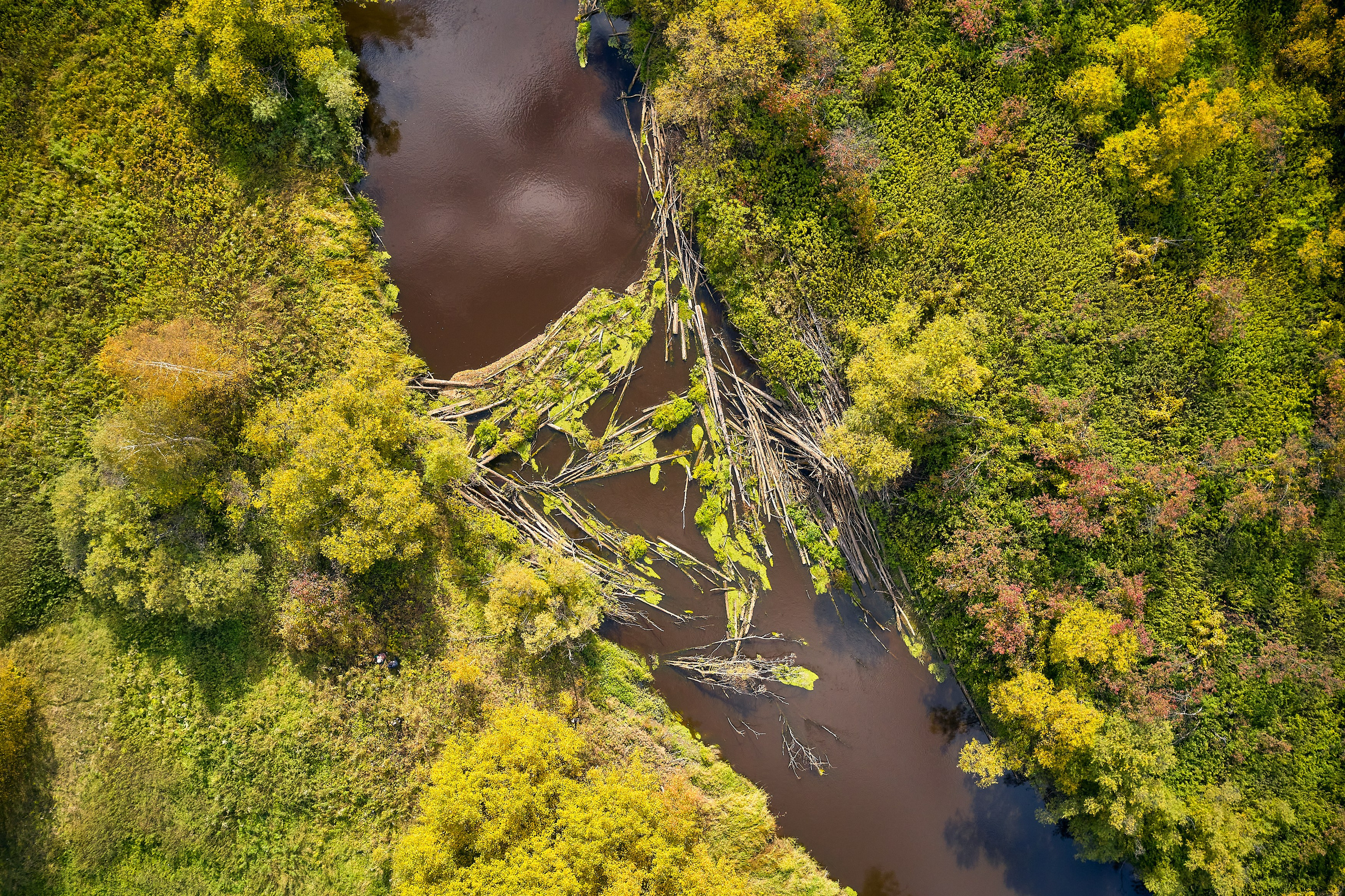 Съемка в полете. DMITRY MOISEENKO — фотограф, художник, топ-стилист