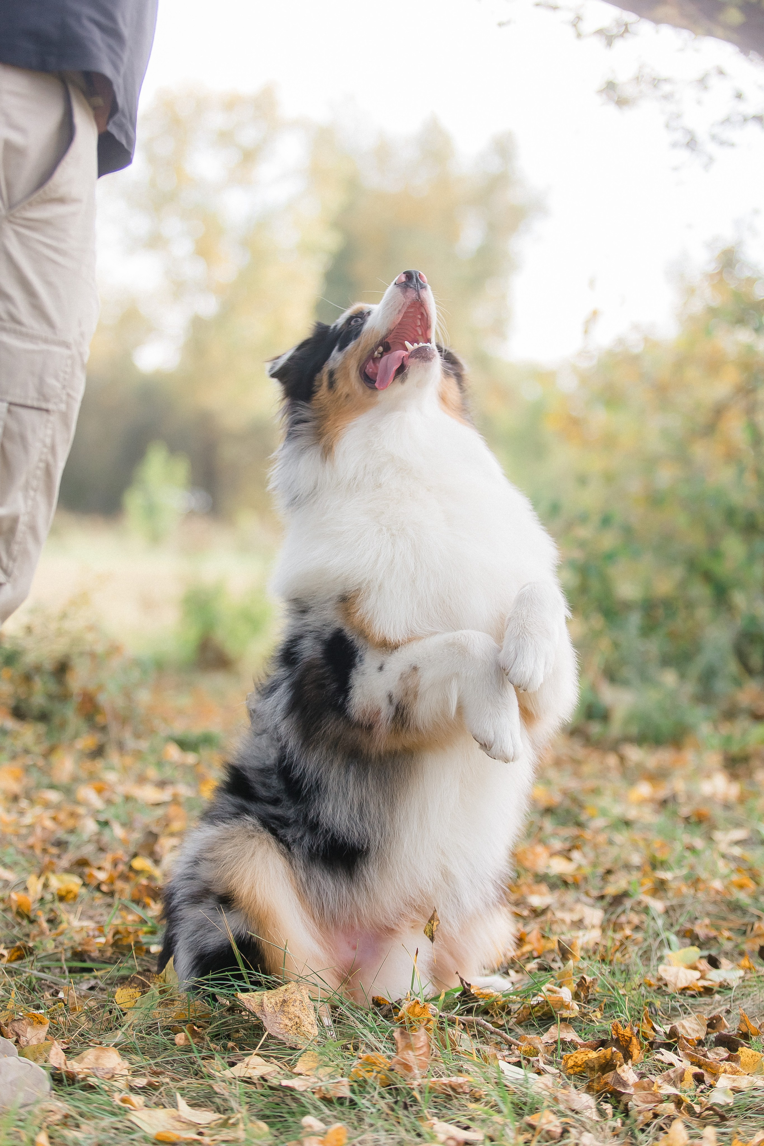 Аусси Дэймон. Свадебный и женский фотограф