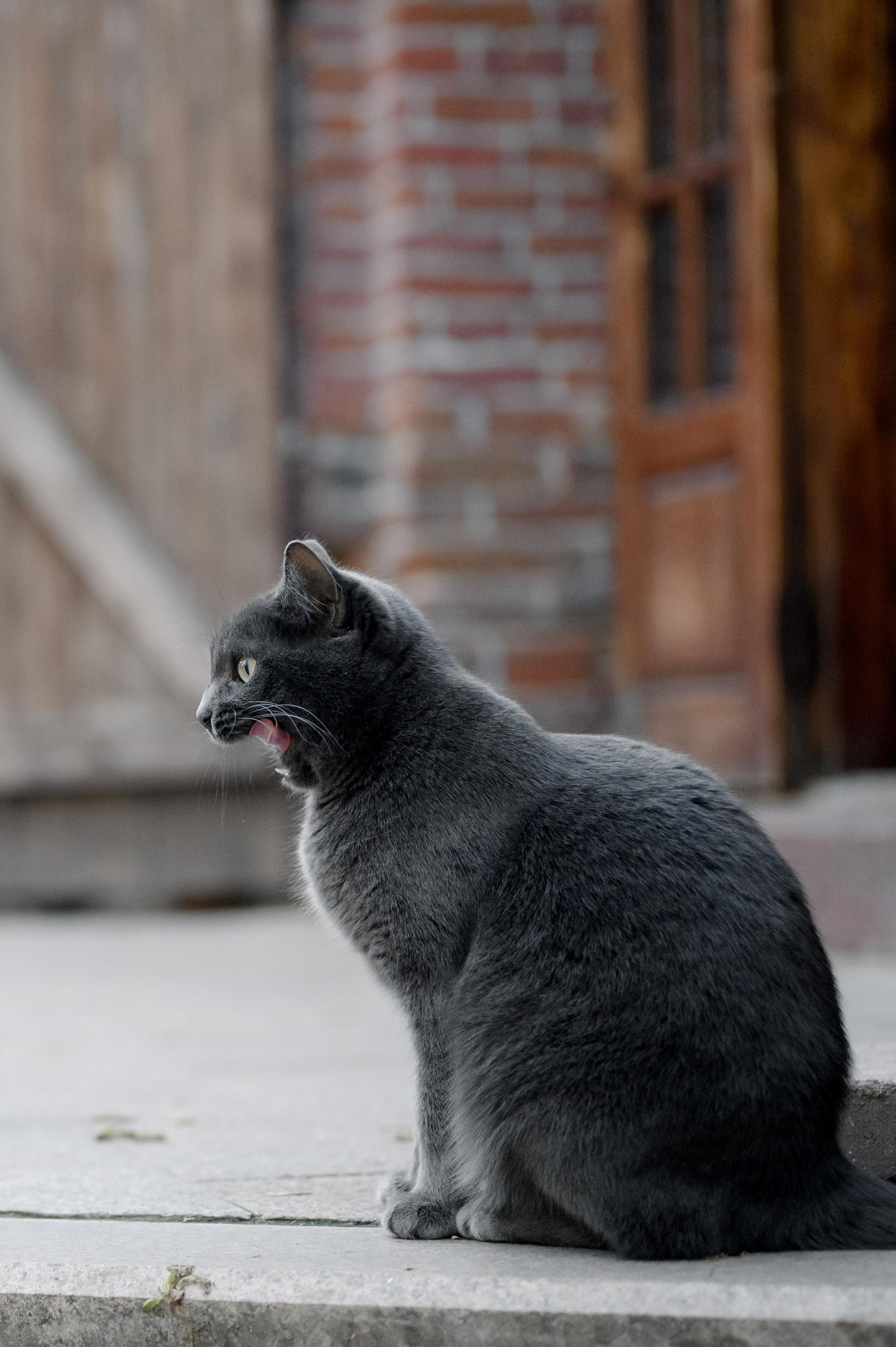 Москва, Россия. Свадебный фотограф Сергей Скрипник