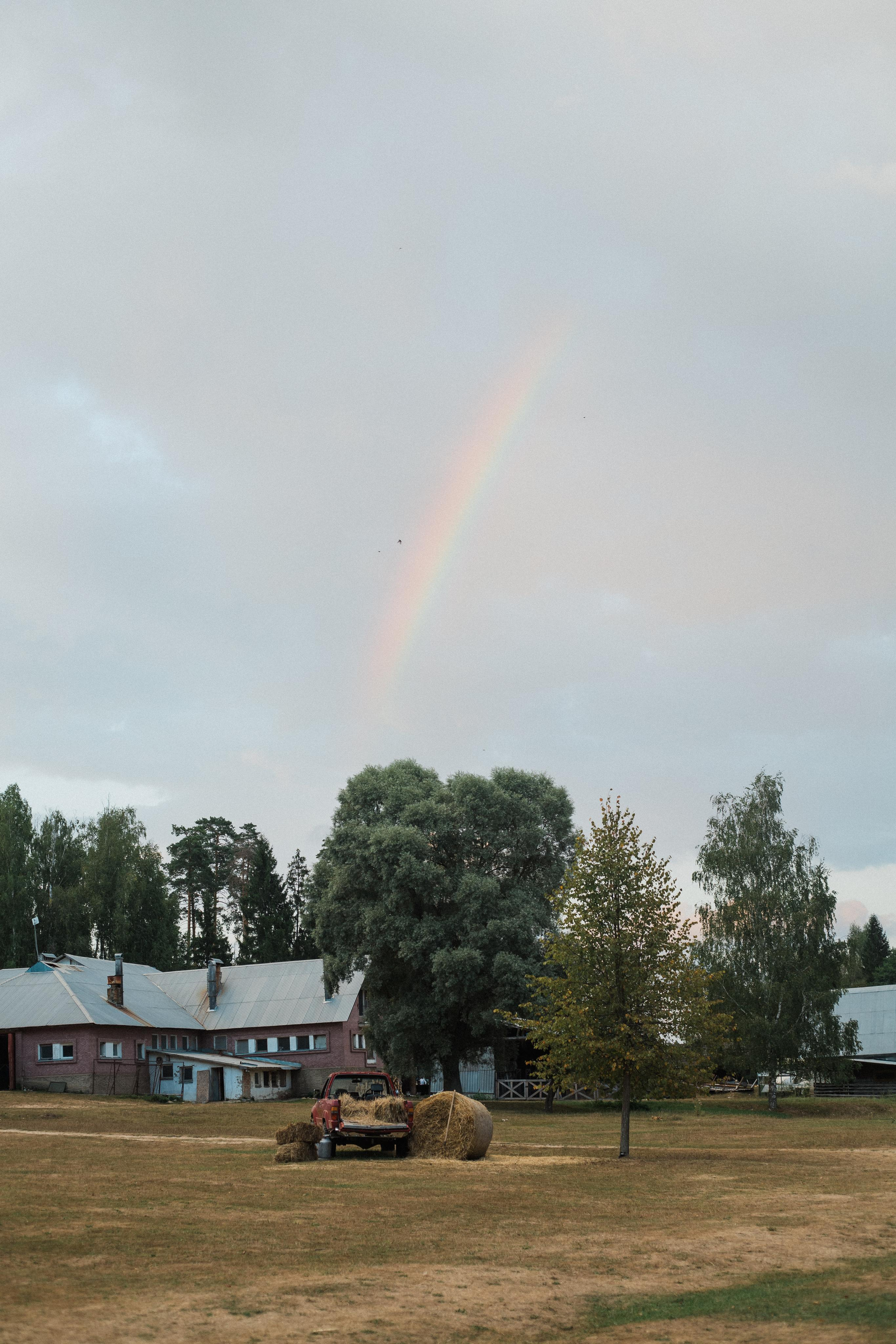 Daniil | Alina. Свадебный фотограф Сергей Скрипник
