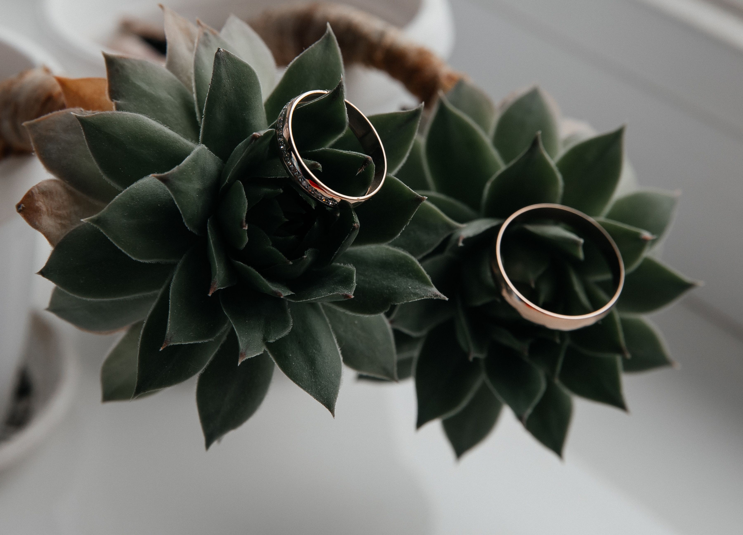 Анонс свадьба Максим и Татьяна. Свадебный и семейный фотограф в Севастополе и Крыму Анастасия Сураева