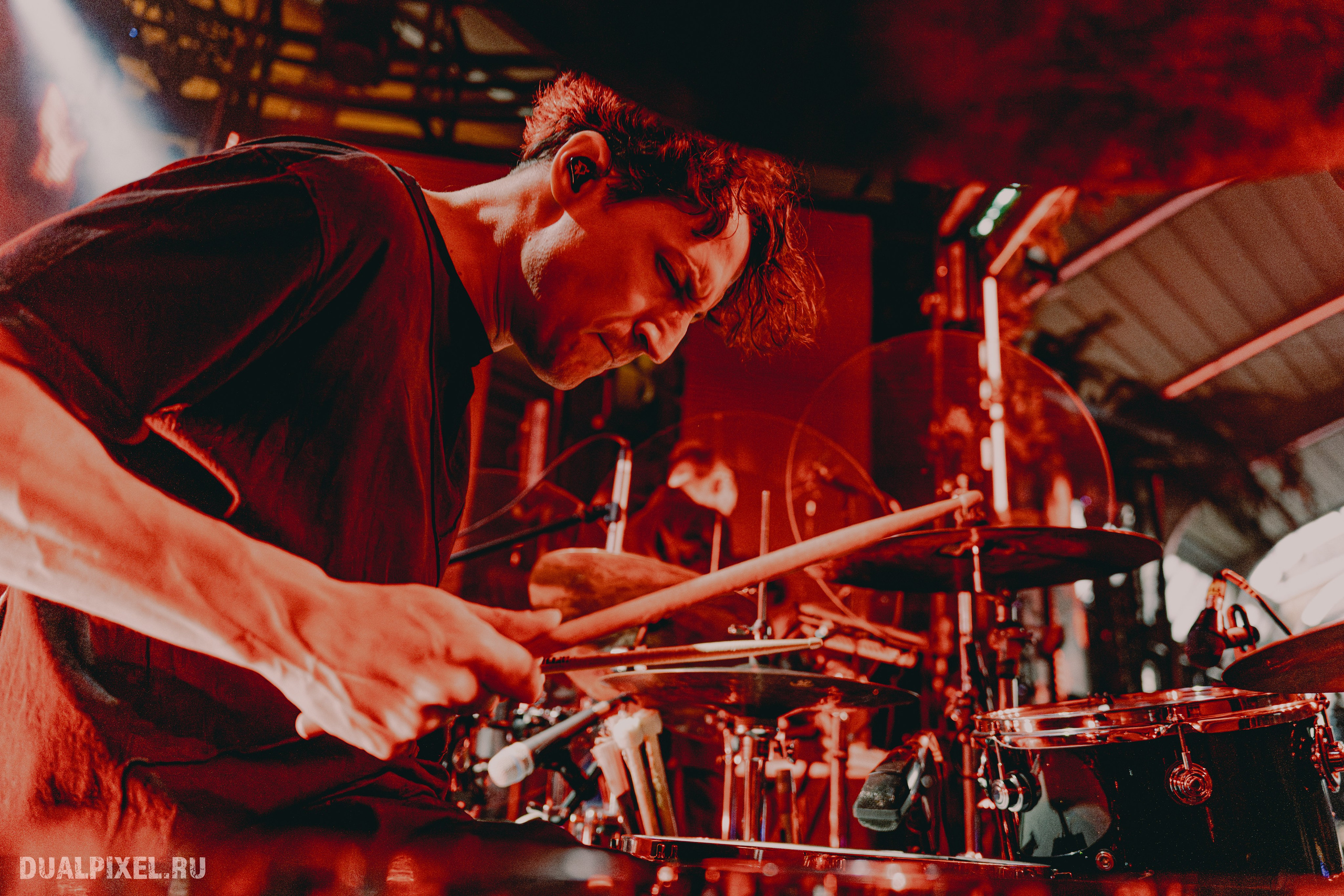 Дельфин. Магия музыки в кадре: Концертная Фотография