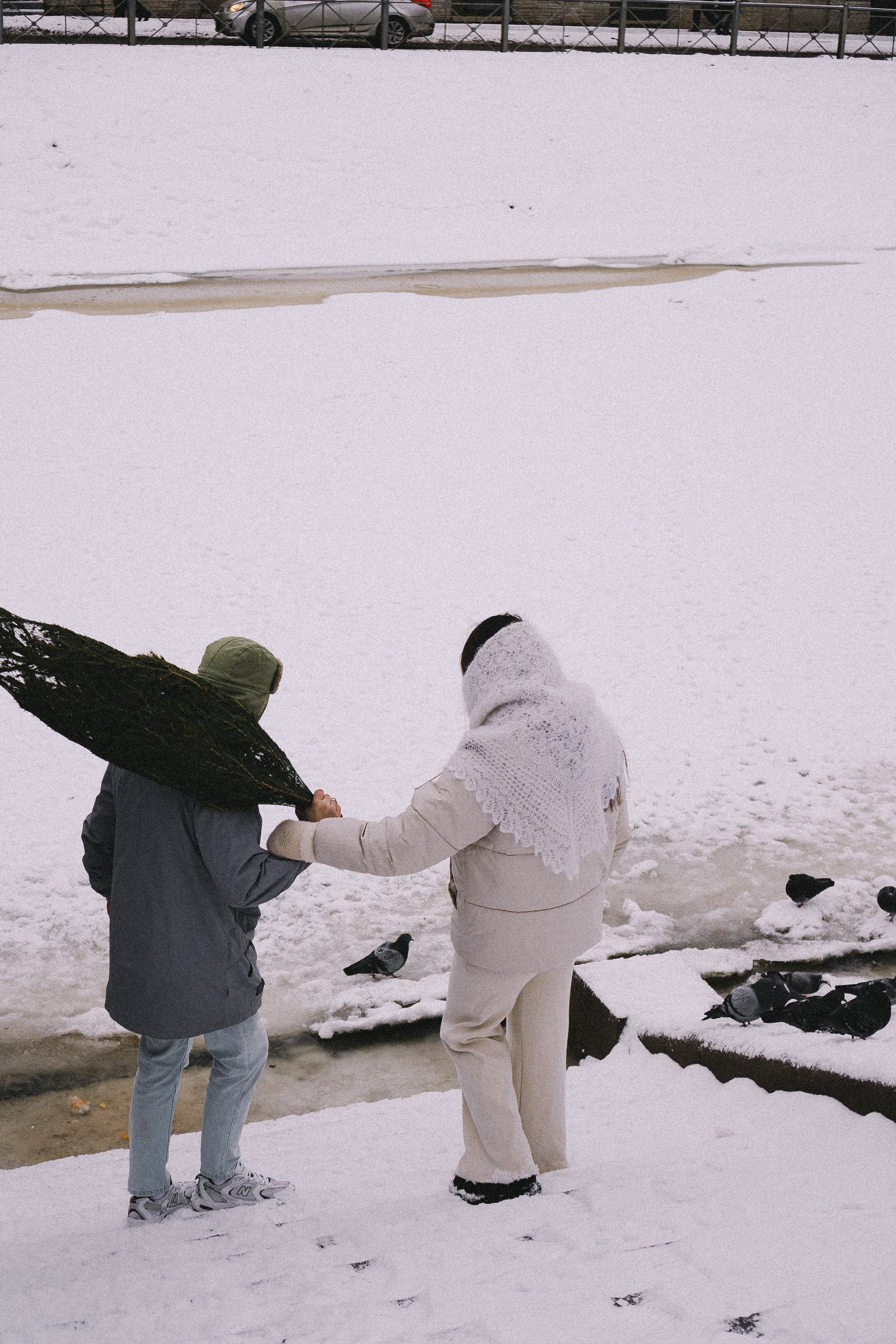 Зимняя история. Профессиональный фотограф, Санкт-Петербург — Виктория Богомолова