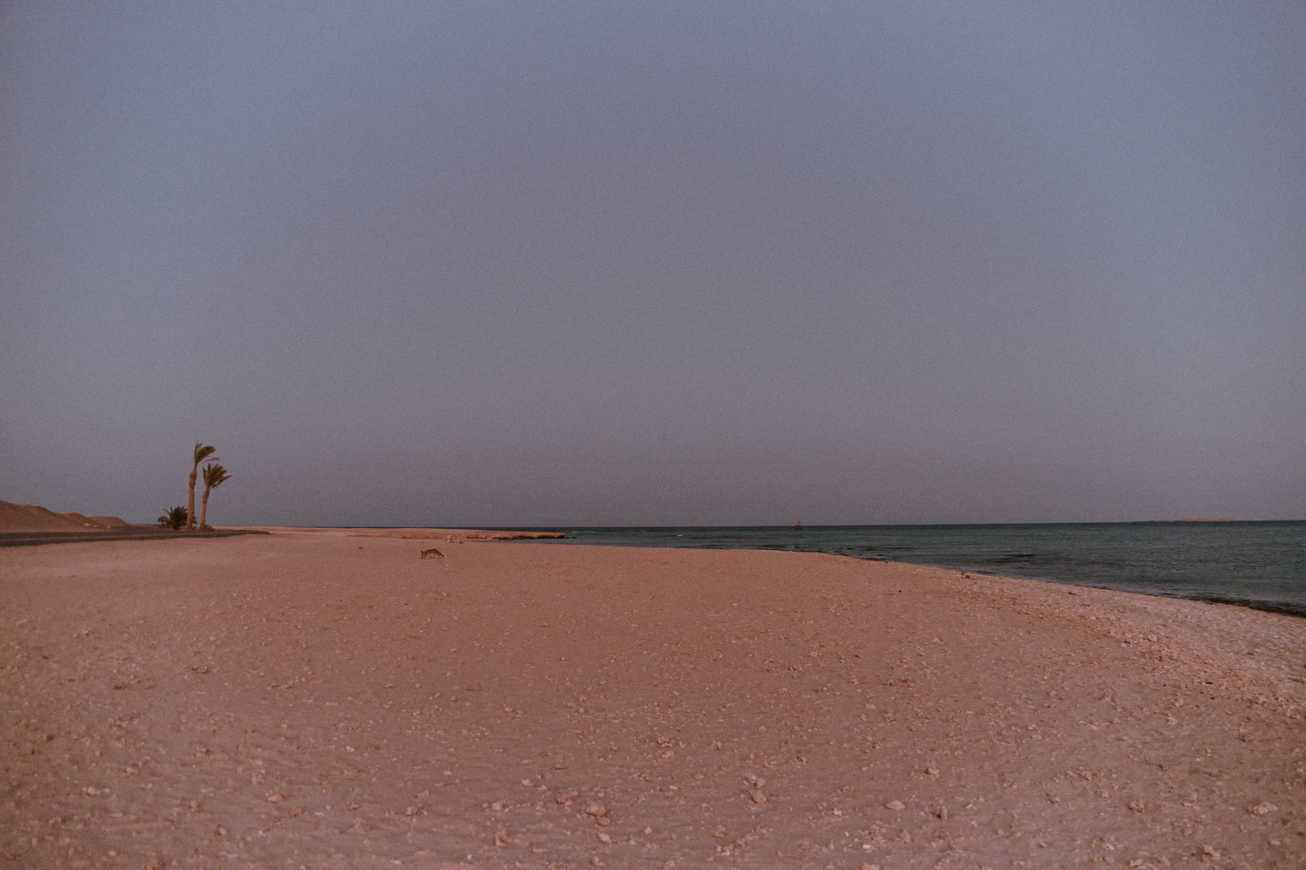 Улица горизонтальная. Jorgis — фотограф в Хургаде / обучение фотографии