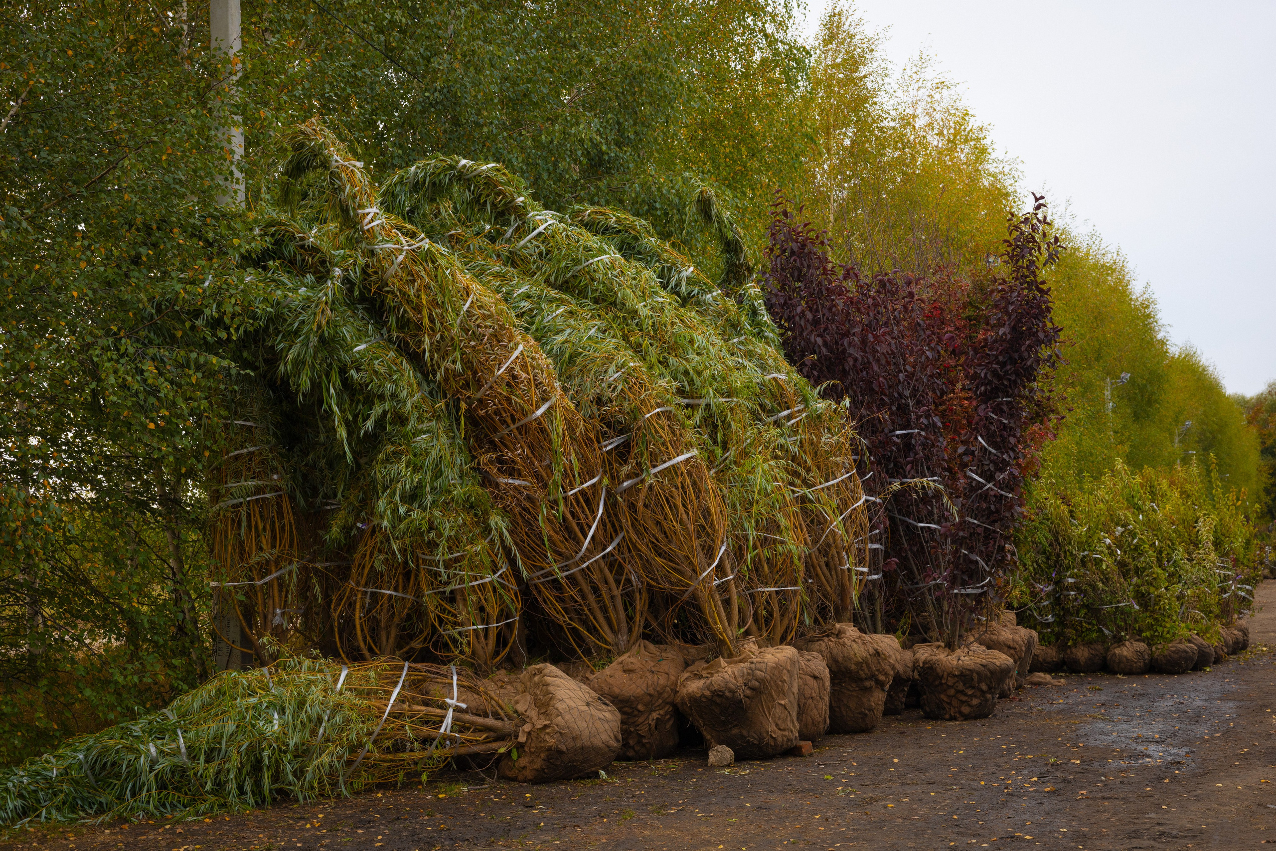 Предметная, интерьерная съемка. Фотограф в Ельце Сапрыкина Екатерина