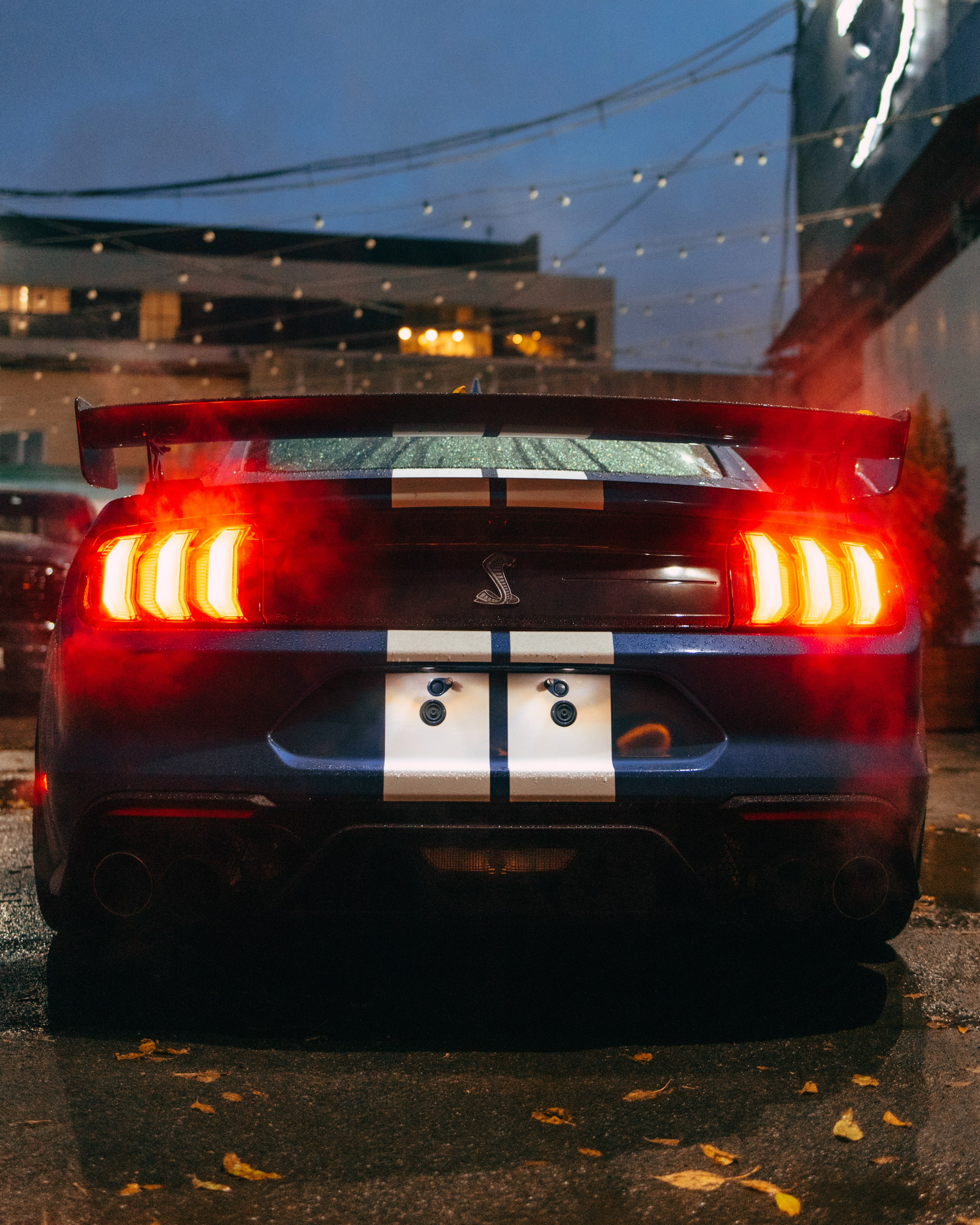 Ford Mustang GT500. DeLorein