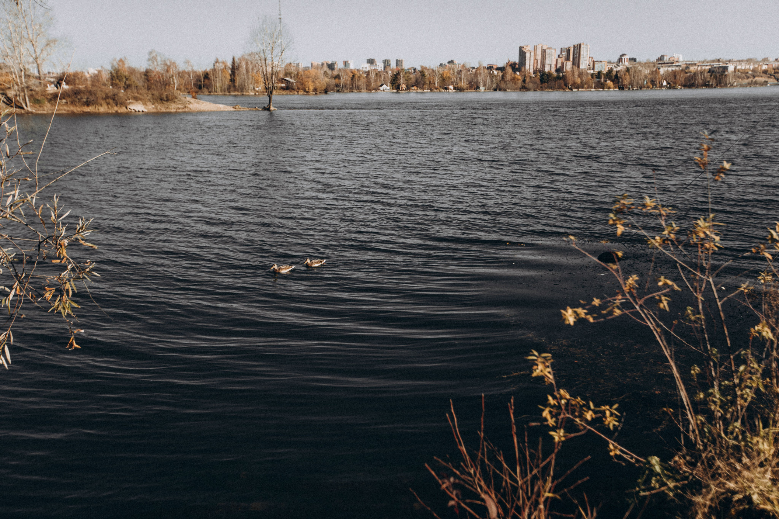 Лиля антонна