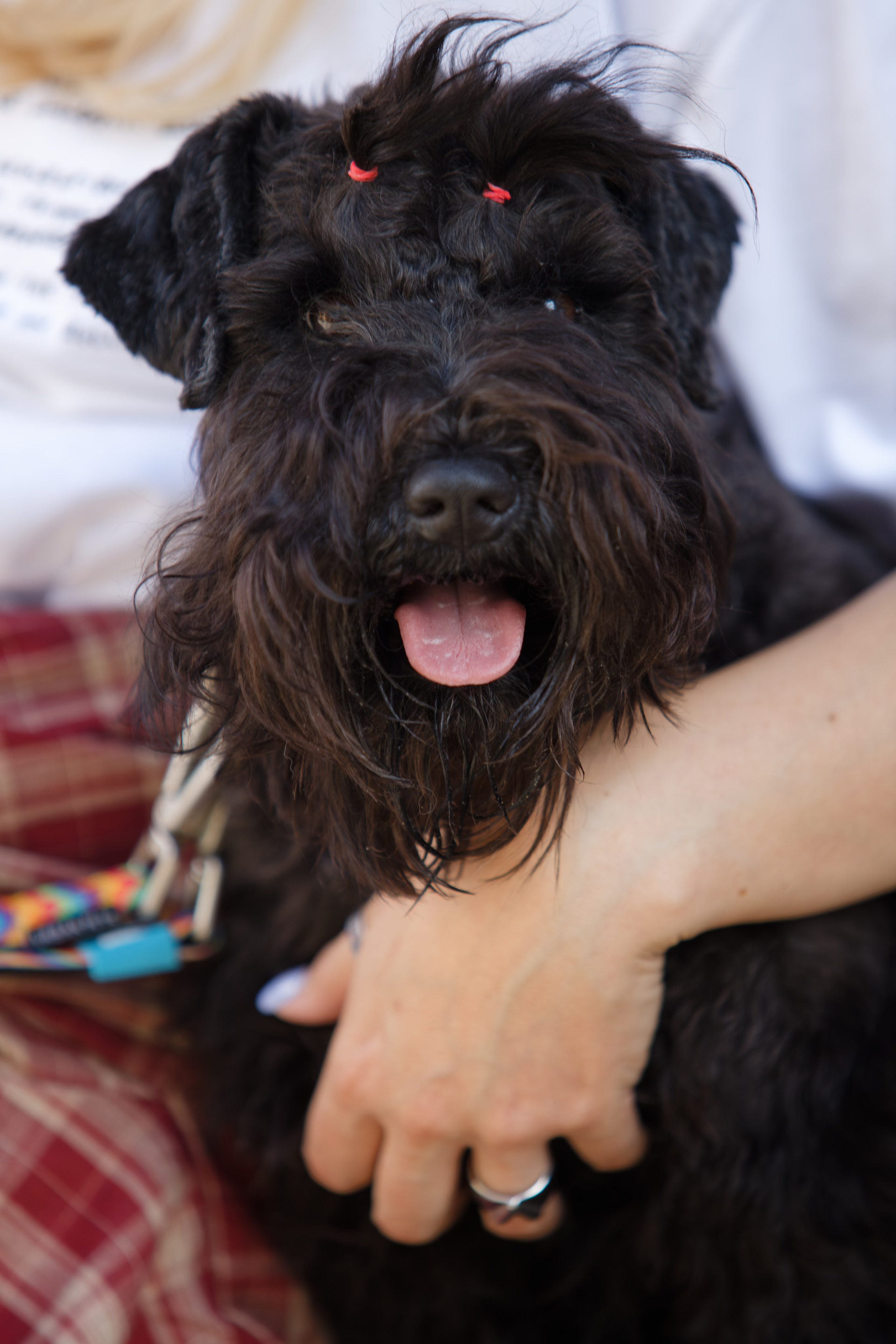 Мир животных. Репортажный и спортивный фотограф в г. Пермь Зильберг Павел