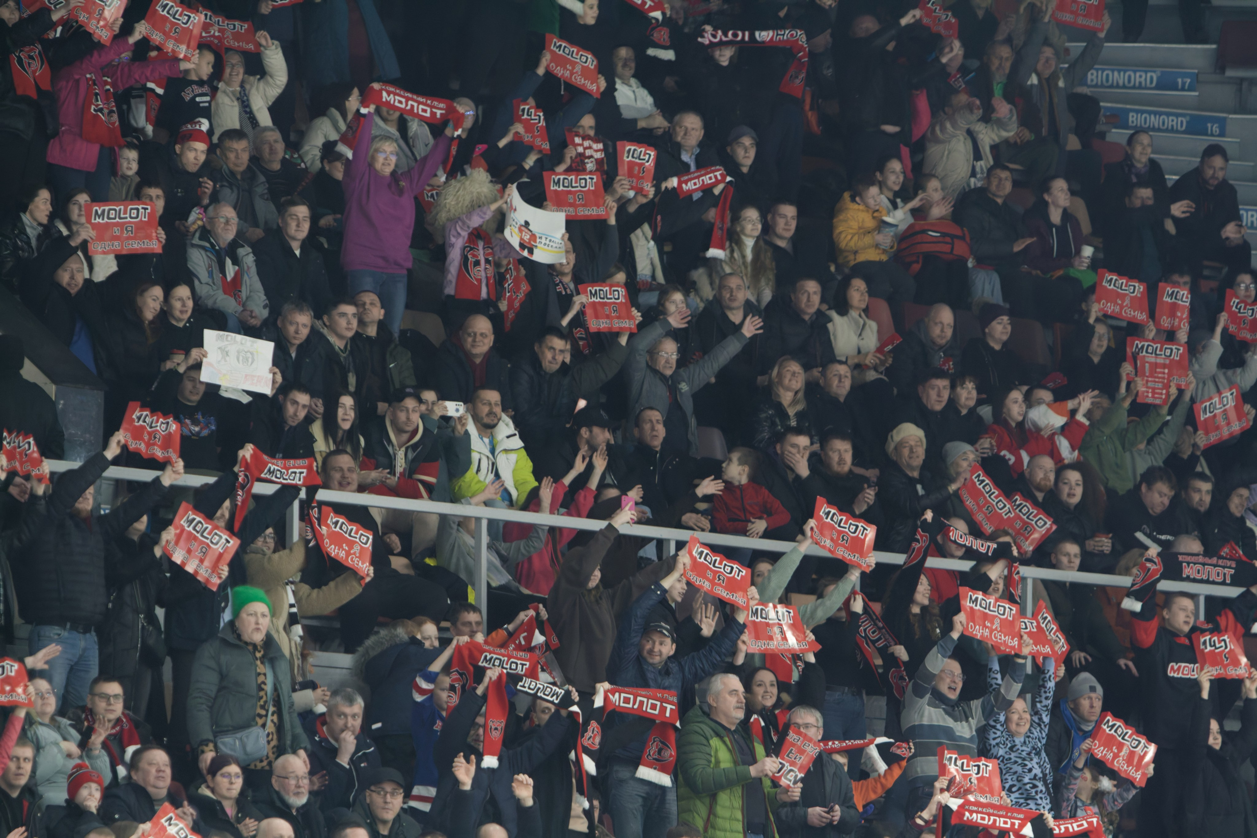 Хоккей. Молот-Химик 12.02.2025. Репортажный и спортивный фотограф в г. Пермь Зильберг Павел