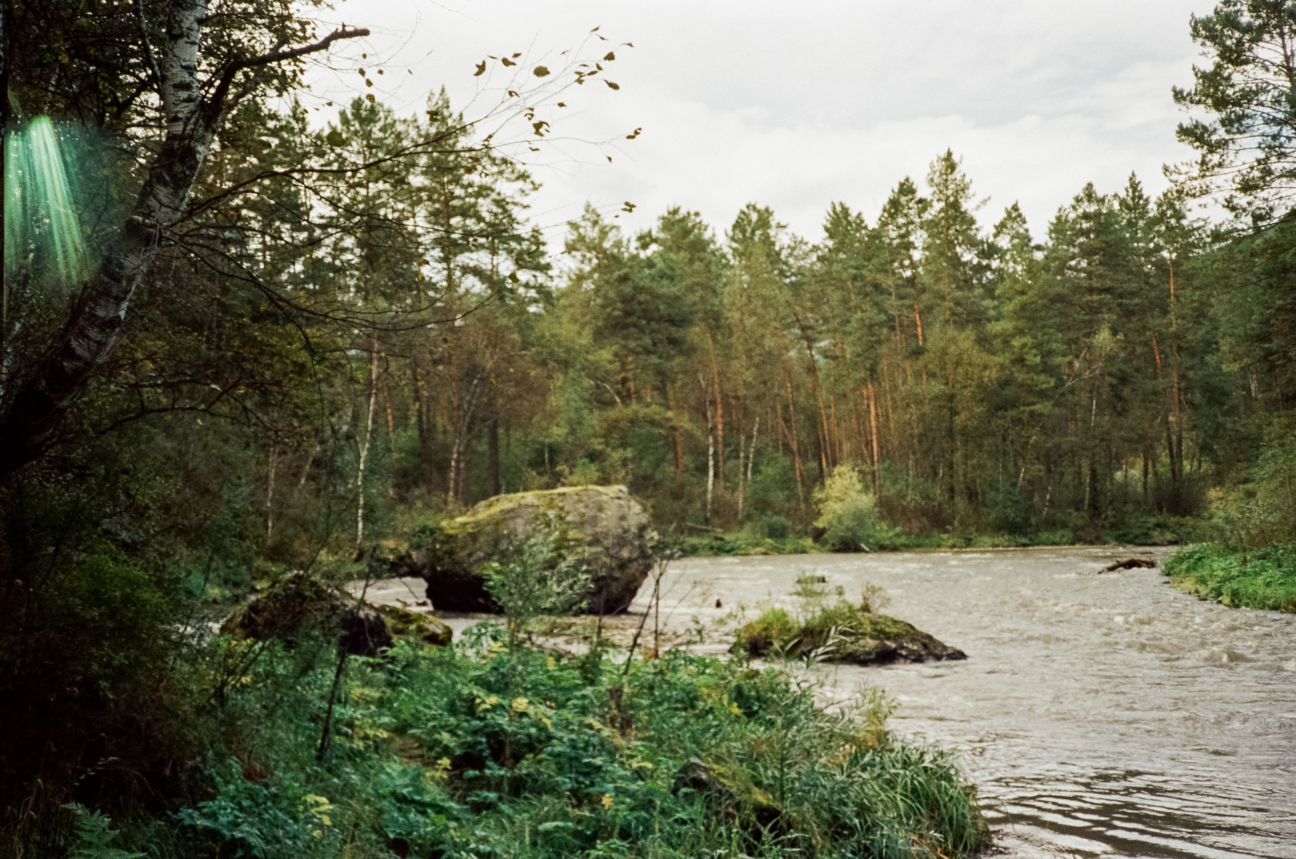 Ботанический сад и река Сема. Фотограф-документалист Мария Осокина