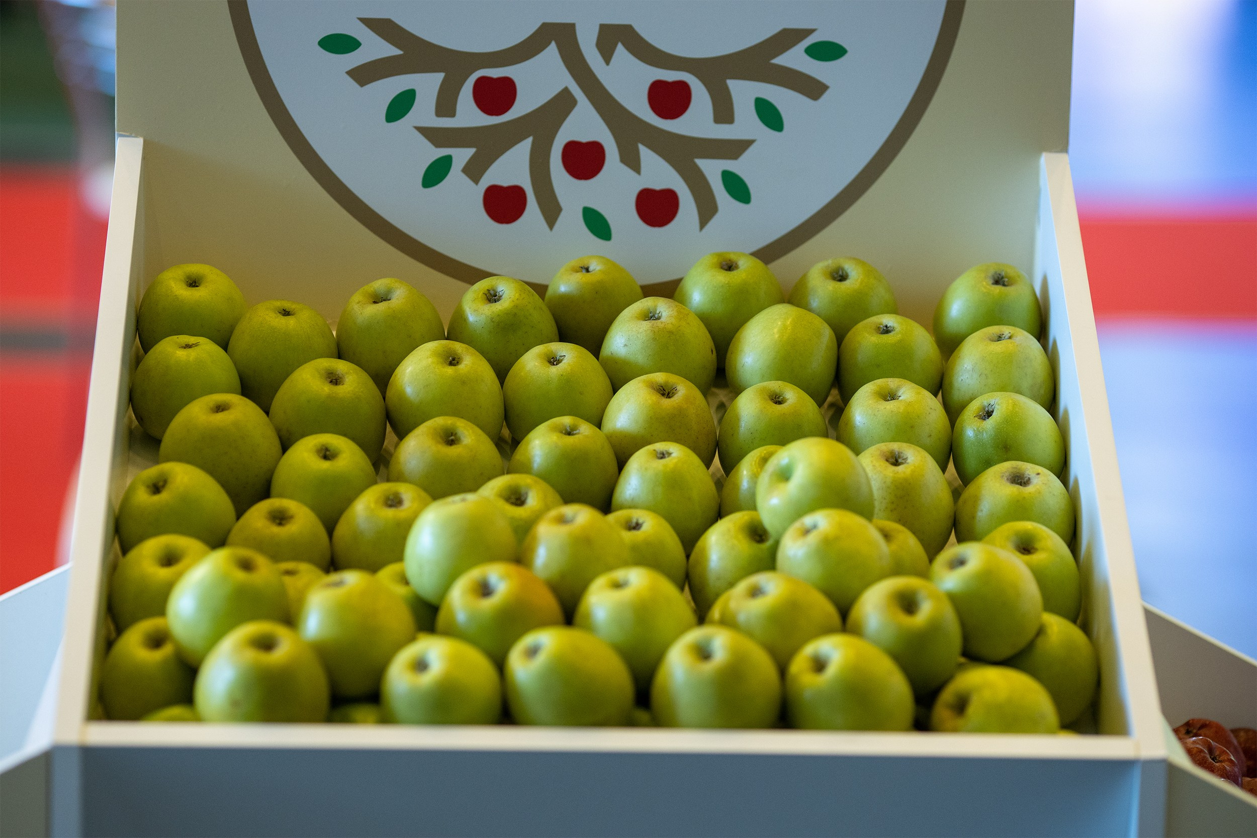 «ЭКСПО Мин Воды» — Pro яблоко. Медиапродюсер, фотограф в Минеральных Водах —Виктор Холодов