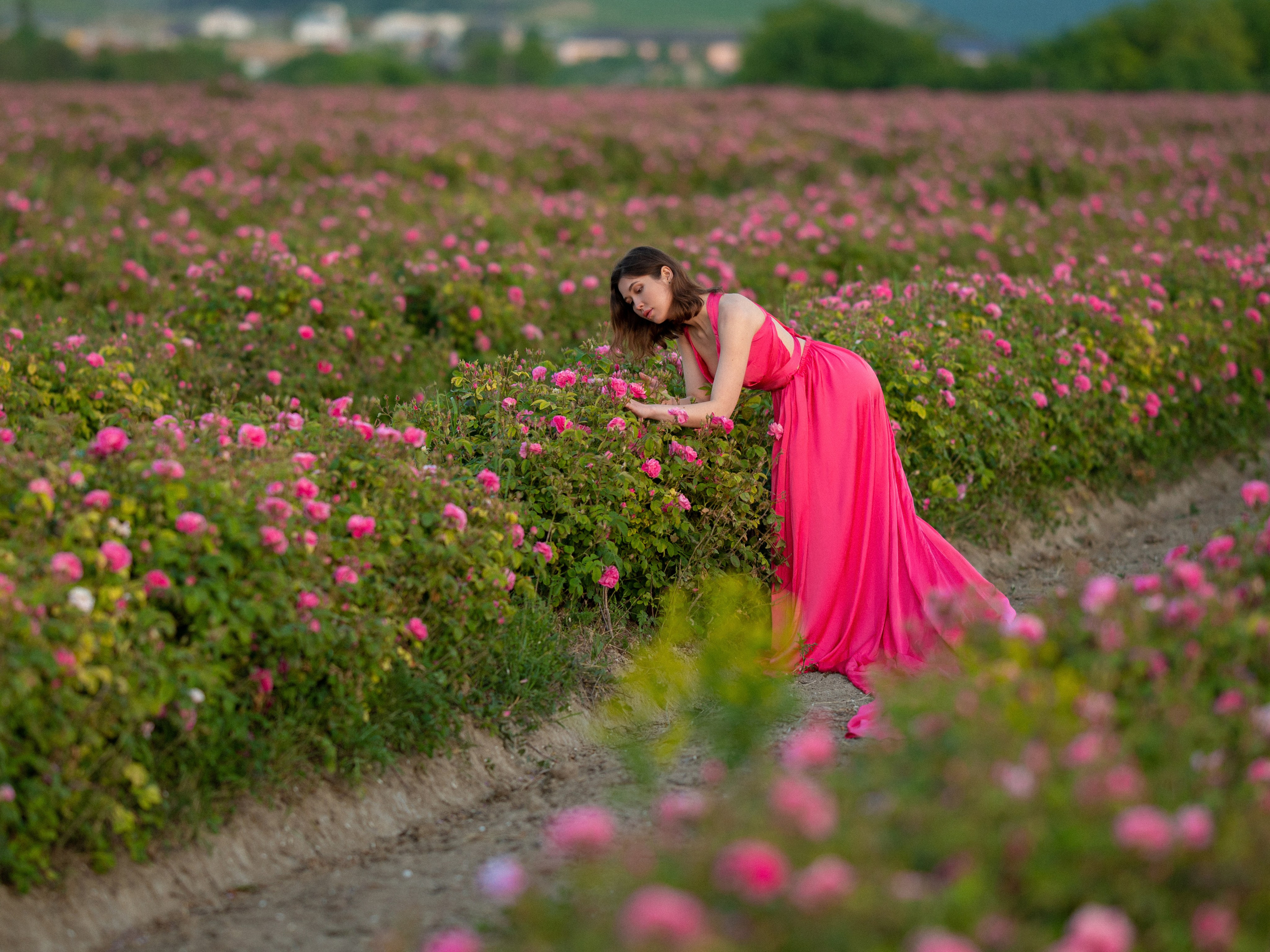 Что цветет в Крыму зимой, весной, летом и осенью. Семейный фотограф в Севастополе и Крыму Александра Погребняк