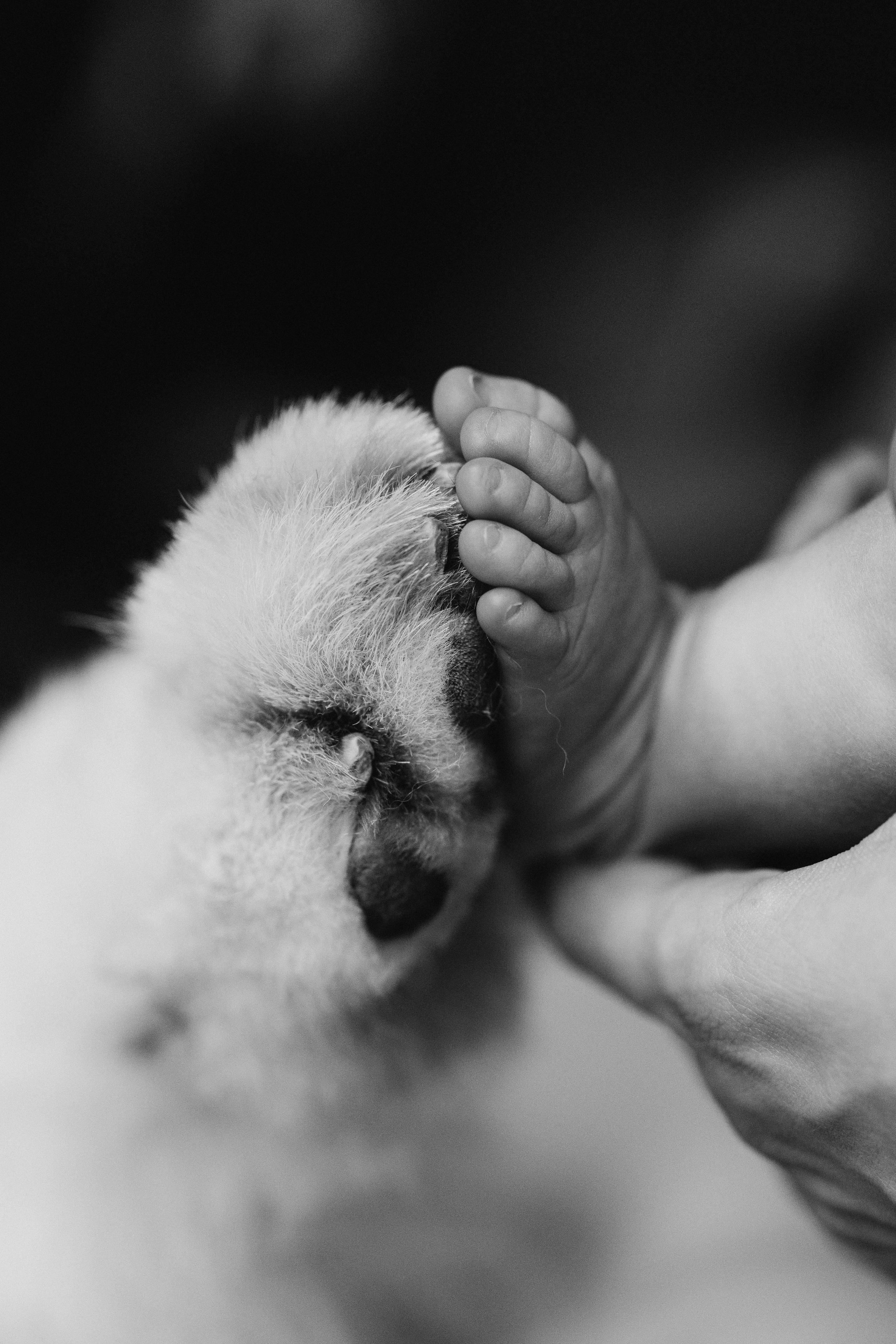 Василиса. Евгения Пелипас