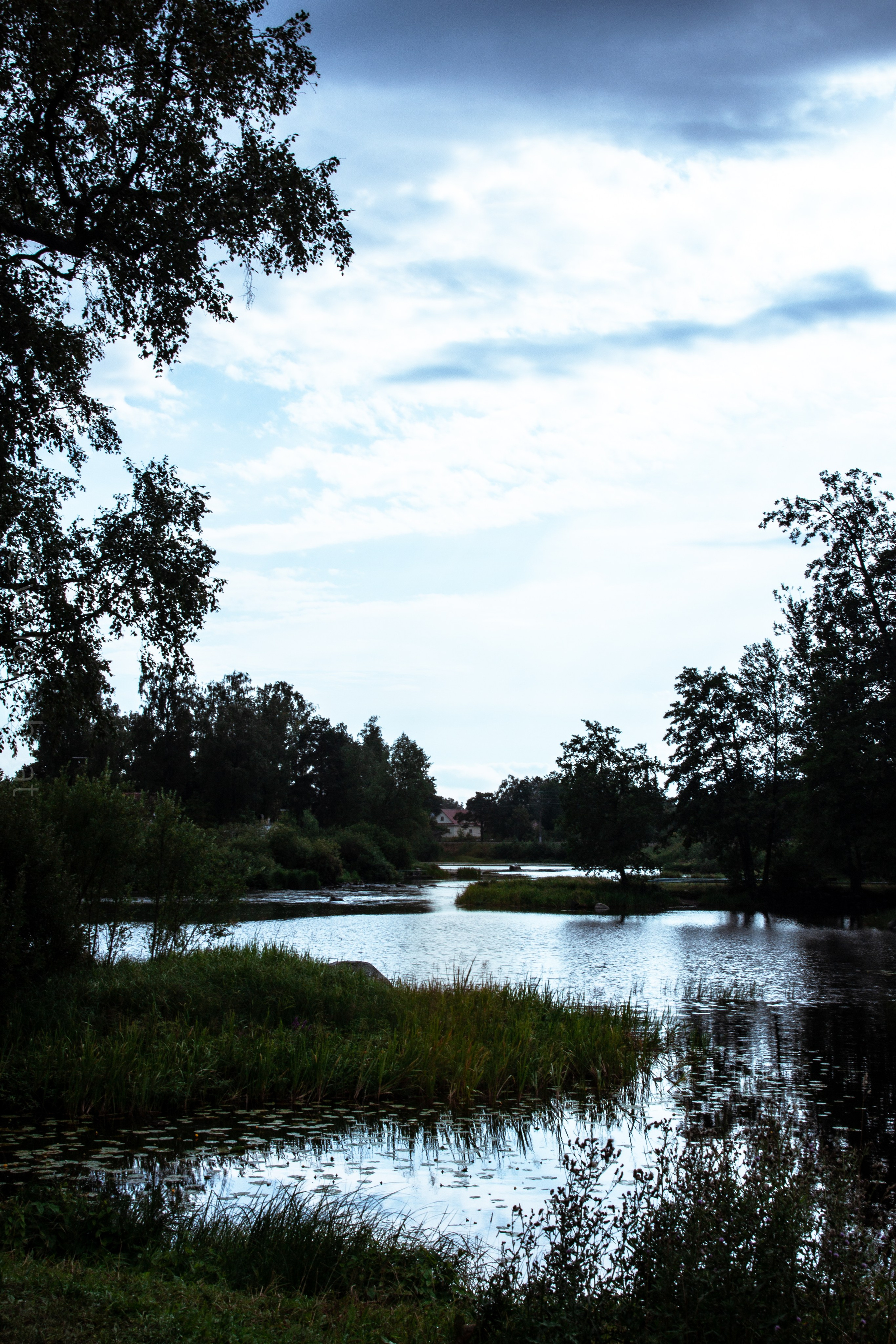 Природа. Фотограф Котий Даниил