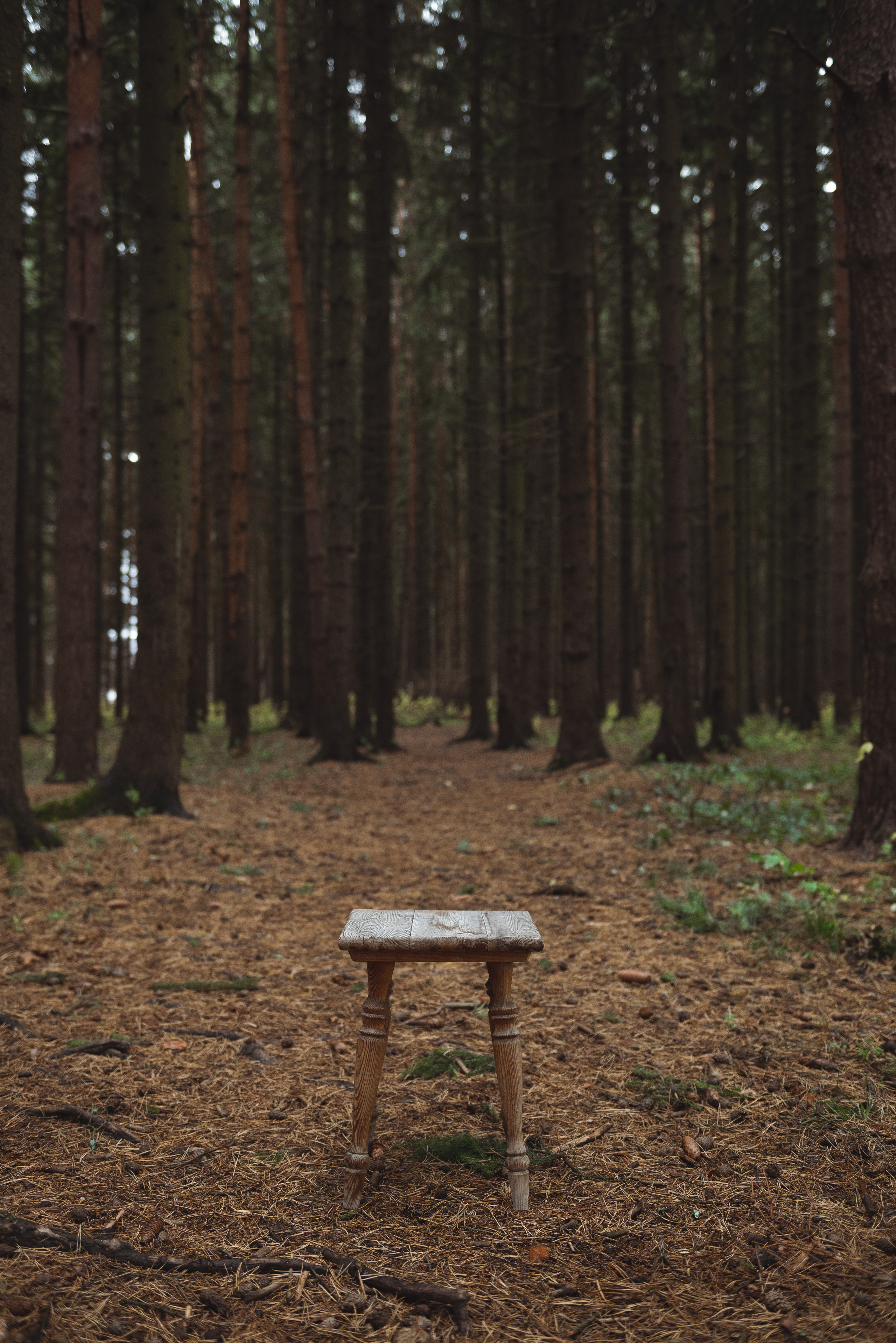 Лима 0.2 (@alima_mmk). Фотограф Москва Настя Профотовна. Репортажные, свадебные и контент фотосессии