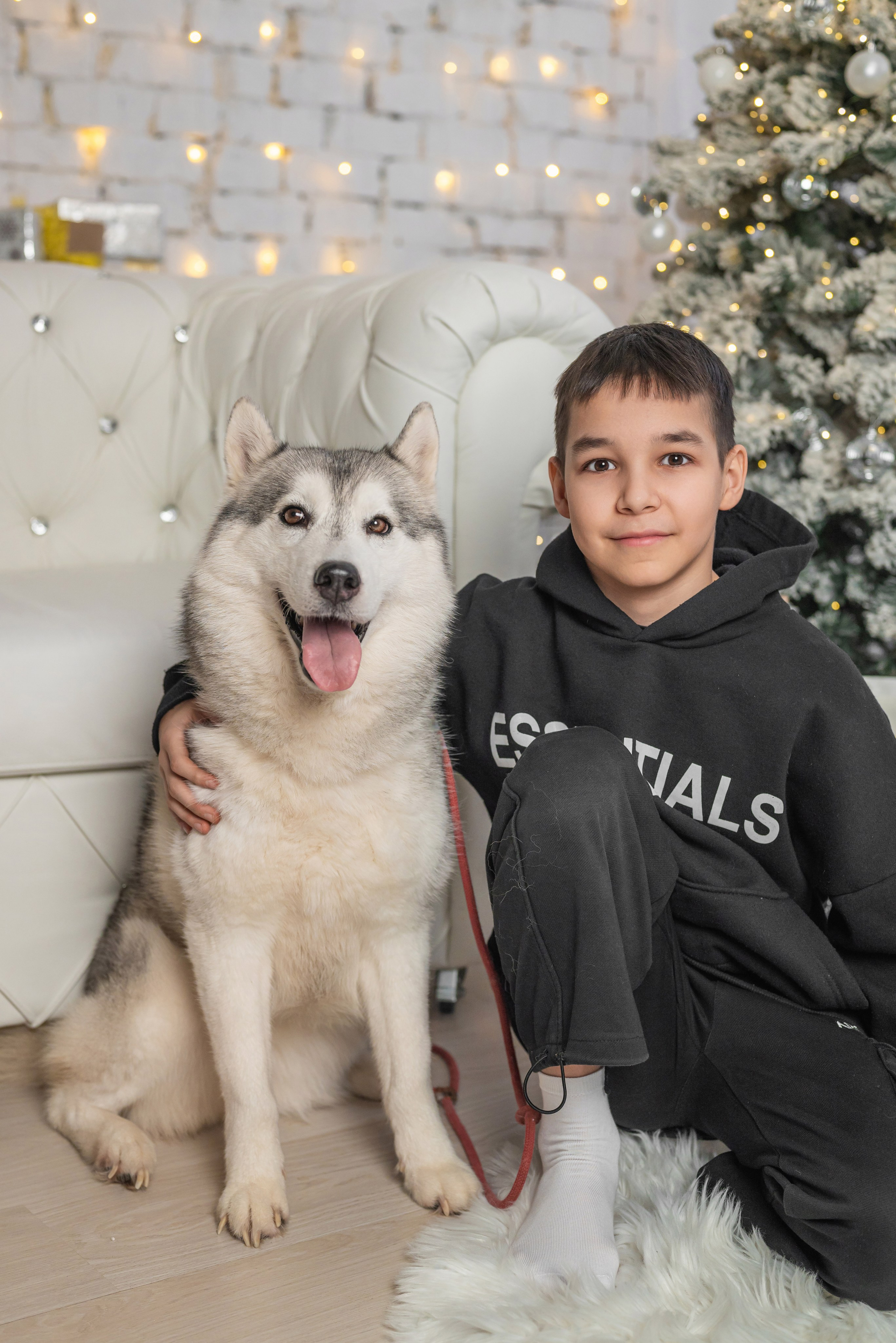 Фотопроект с хаски. Фотограф в городе Салават