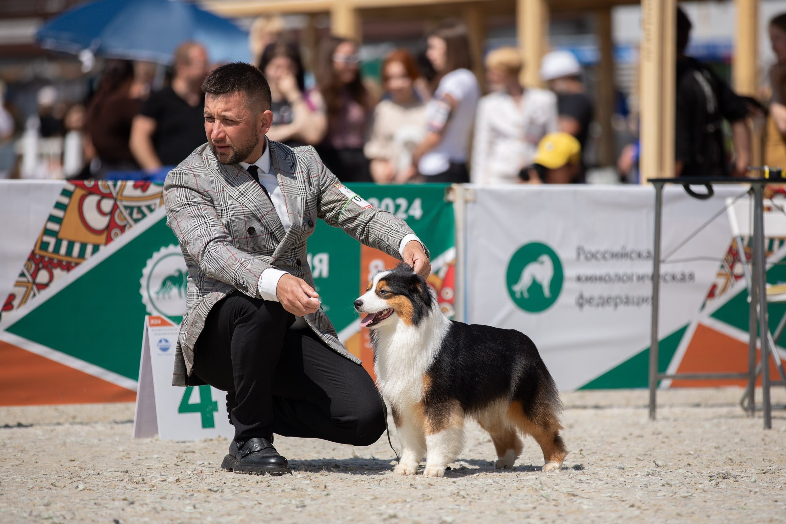 Репортаж с выставки Россия. Фотограф-анималист в Москве и Московской области Татьяна Фролова