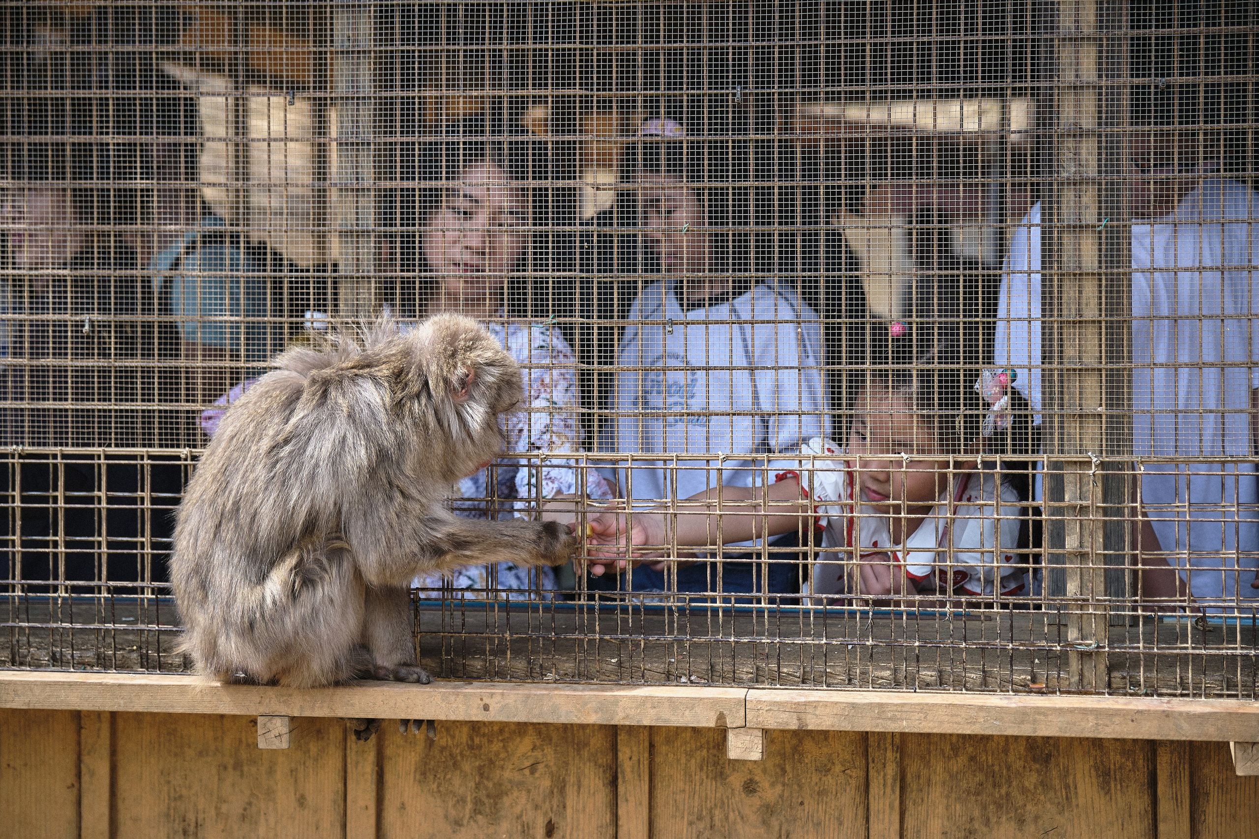 Japan / Osaka≫Kyoto≫Tokyo. Aleksandr Kobtsev
