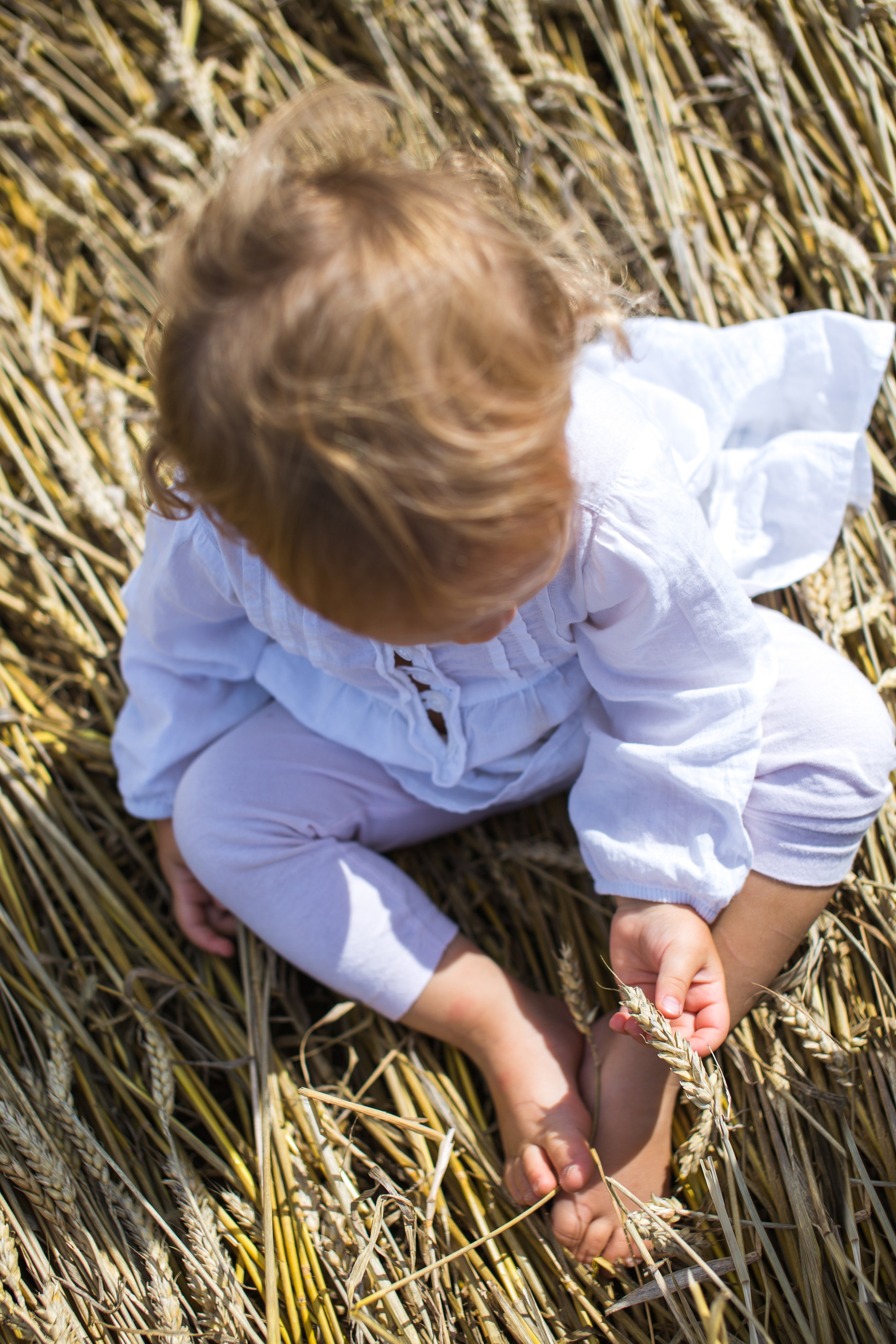 В поле с колосьями. Семейный и школьный фотограф Громова Ольга