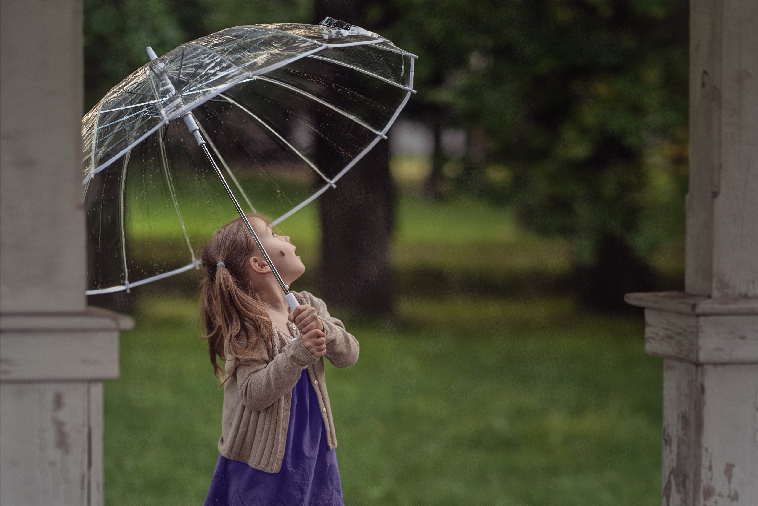 Зайка. Семейный фотограф Новая Рига (Звенигород, Истра) Евгения Литовченко