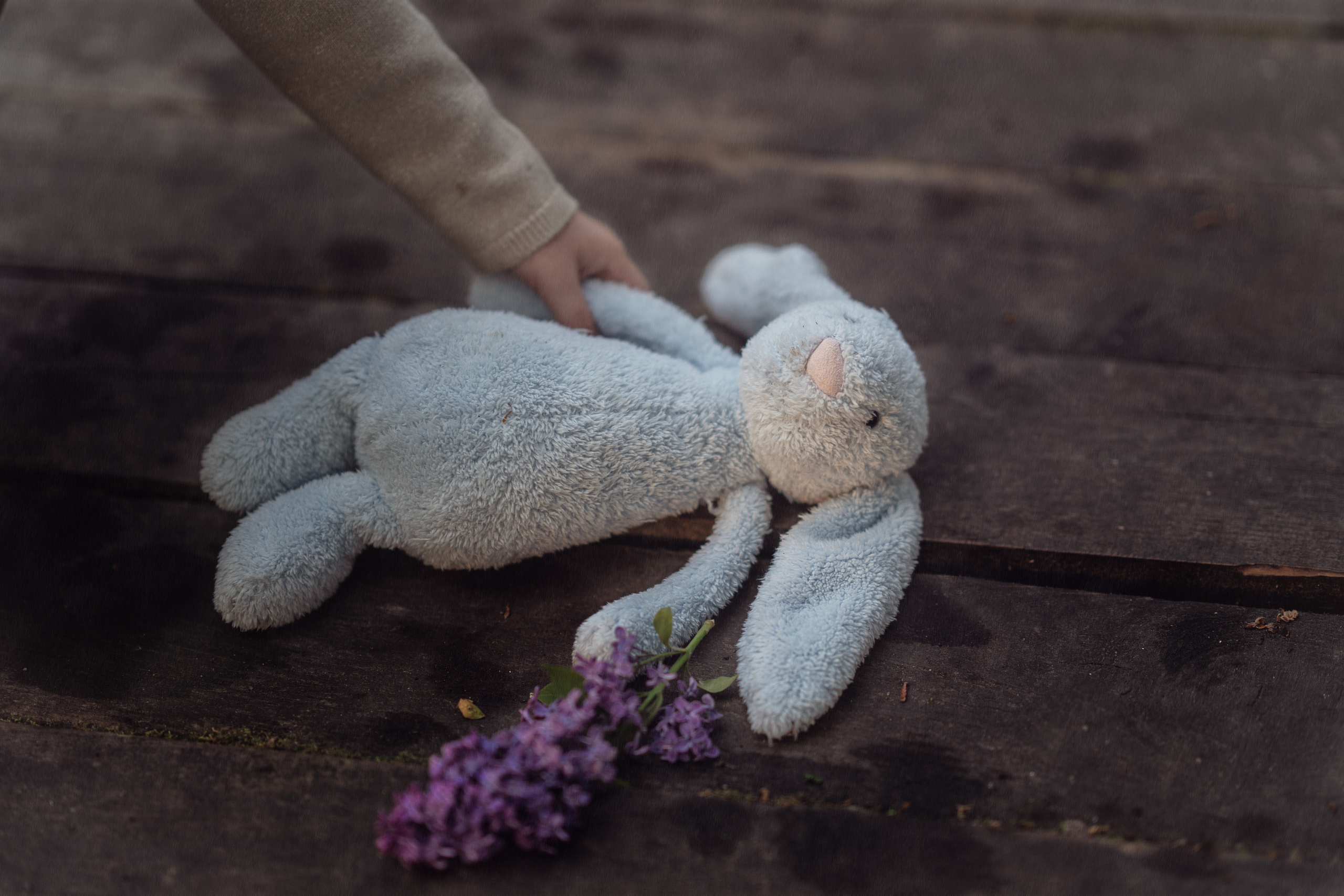 Зайка. Семейный фотограф Новая Рига (Звенигород, Истра) Евгения Литовченко