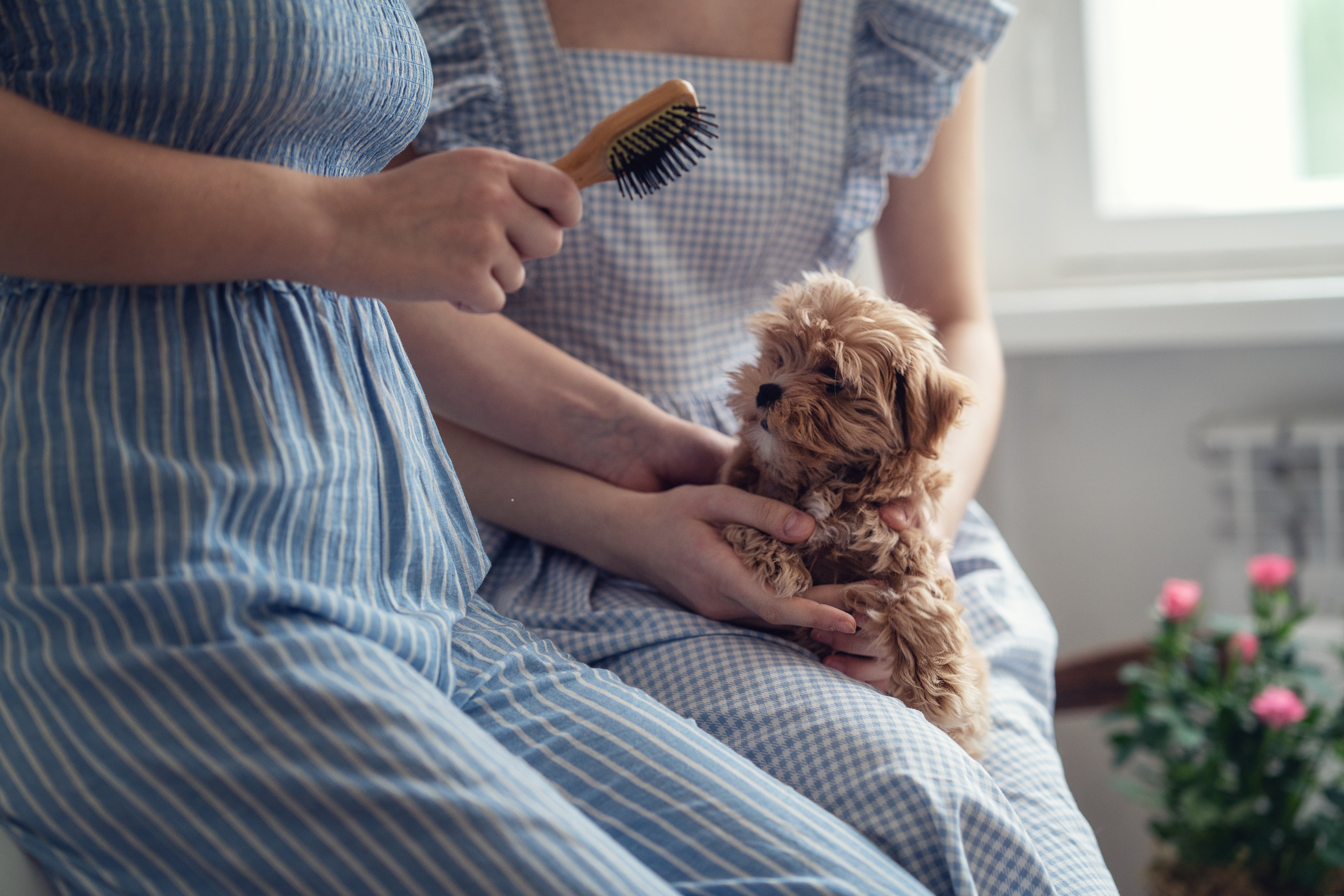 Семейные радости. Весна в Old New Home. Семейный фотограф Новая Рига (Звенигород, Истра) Евгения Литовченко