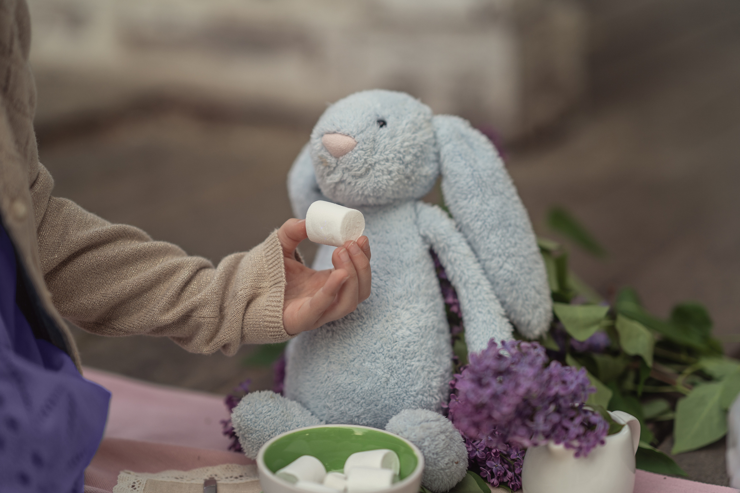 Зайка. Семейный фотограф Новая Рига (Звенигород, Истра) Евгения Литовченко