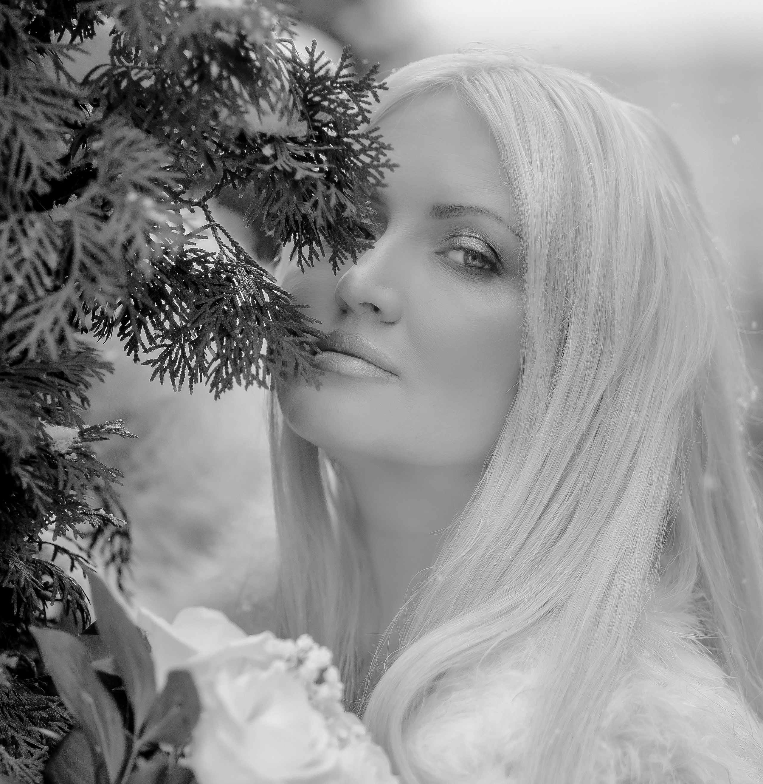 Свадебный фотограф краснодарский край. Свадебный фотограф Кропоткин Краснодар