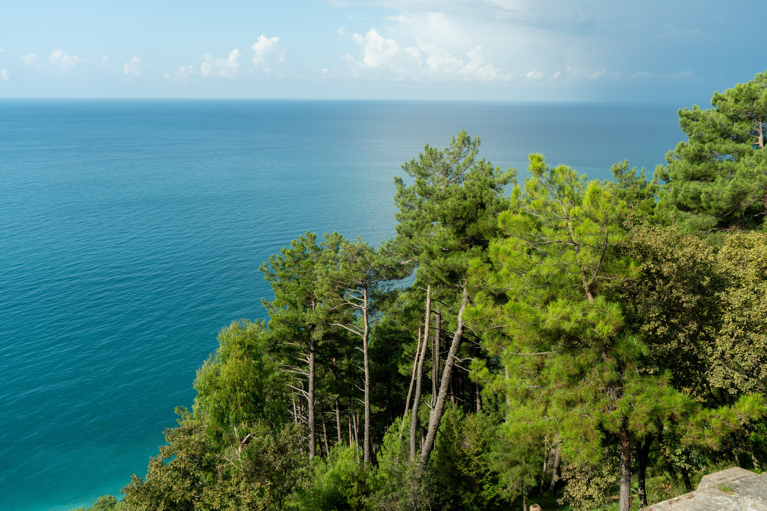 MICE мероприятие — тур по Абхазии. Репортажный фотограф в Красной Поляне и Сочи Павлюченко Екатерина