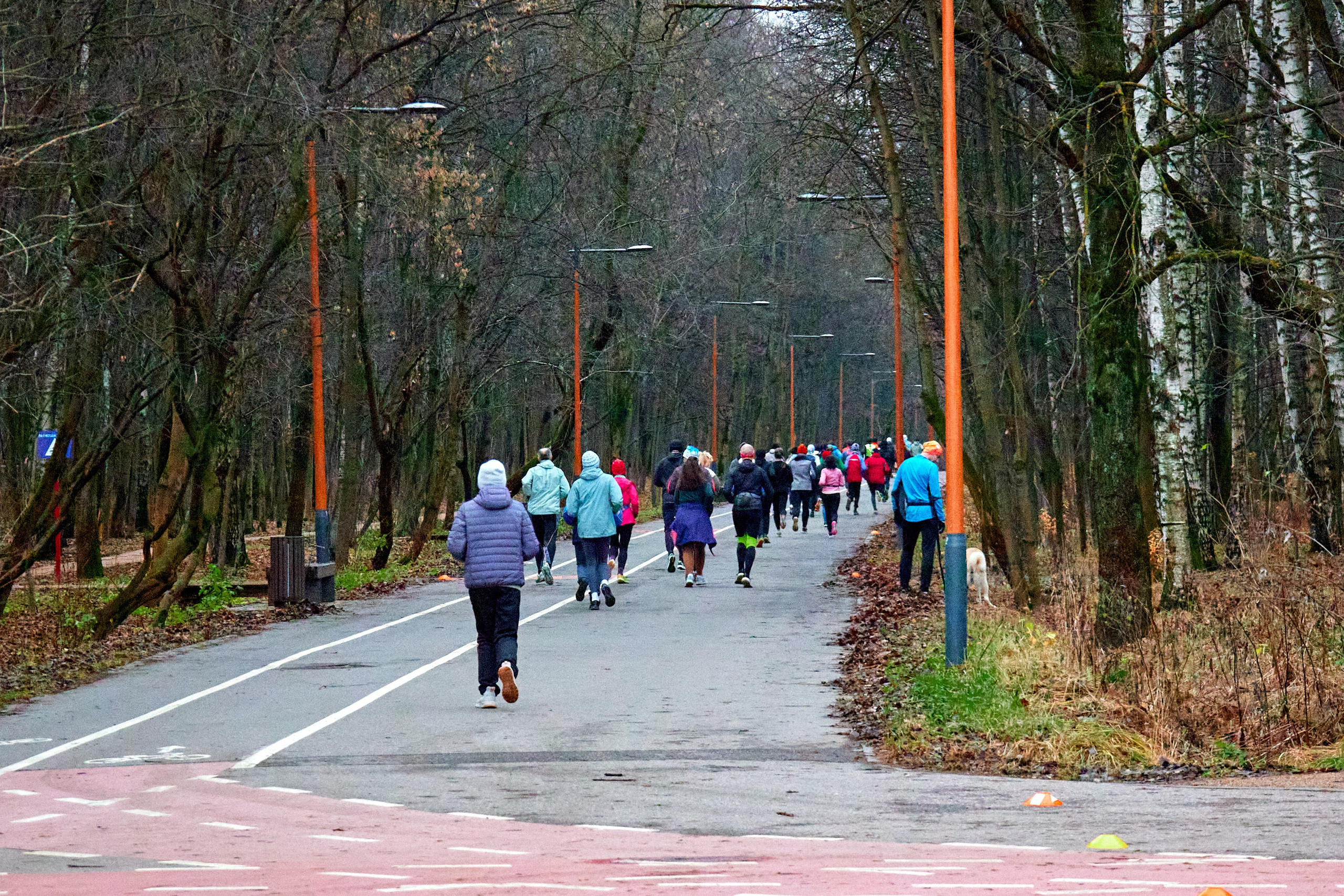 S95 Кусково. Спортивный и репортажный фотограф Андрей Баскаков