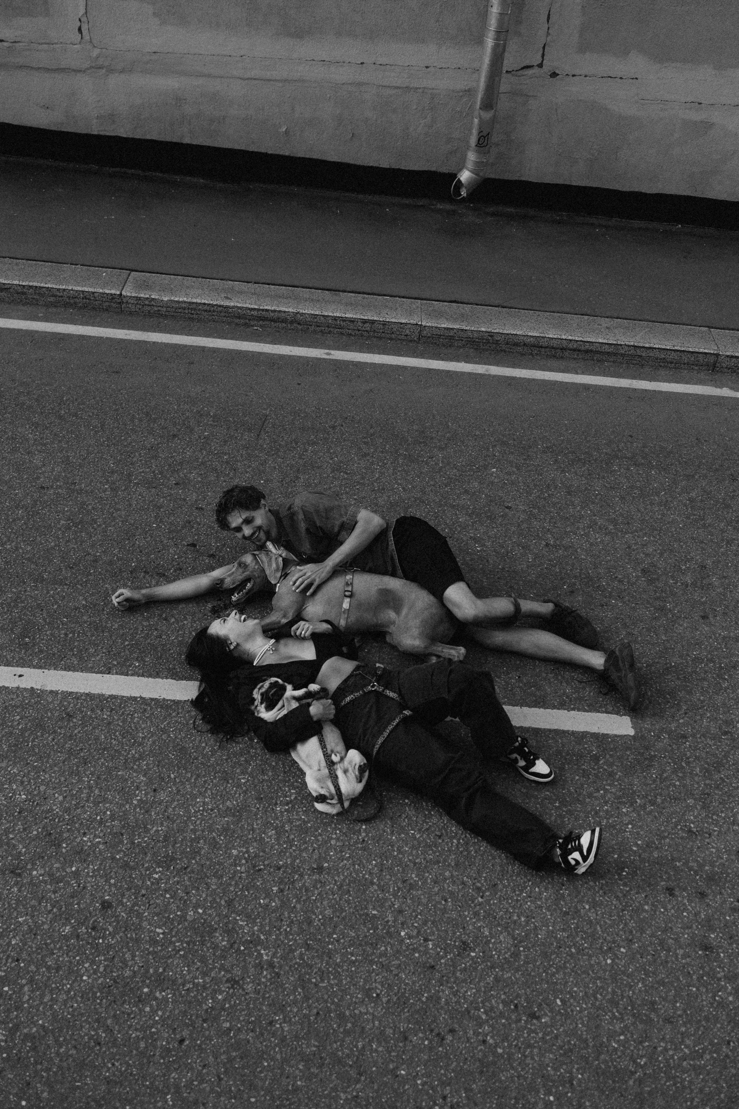 Джони, Оскар и их ро. Фотораф — анималист Мария Шистка