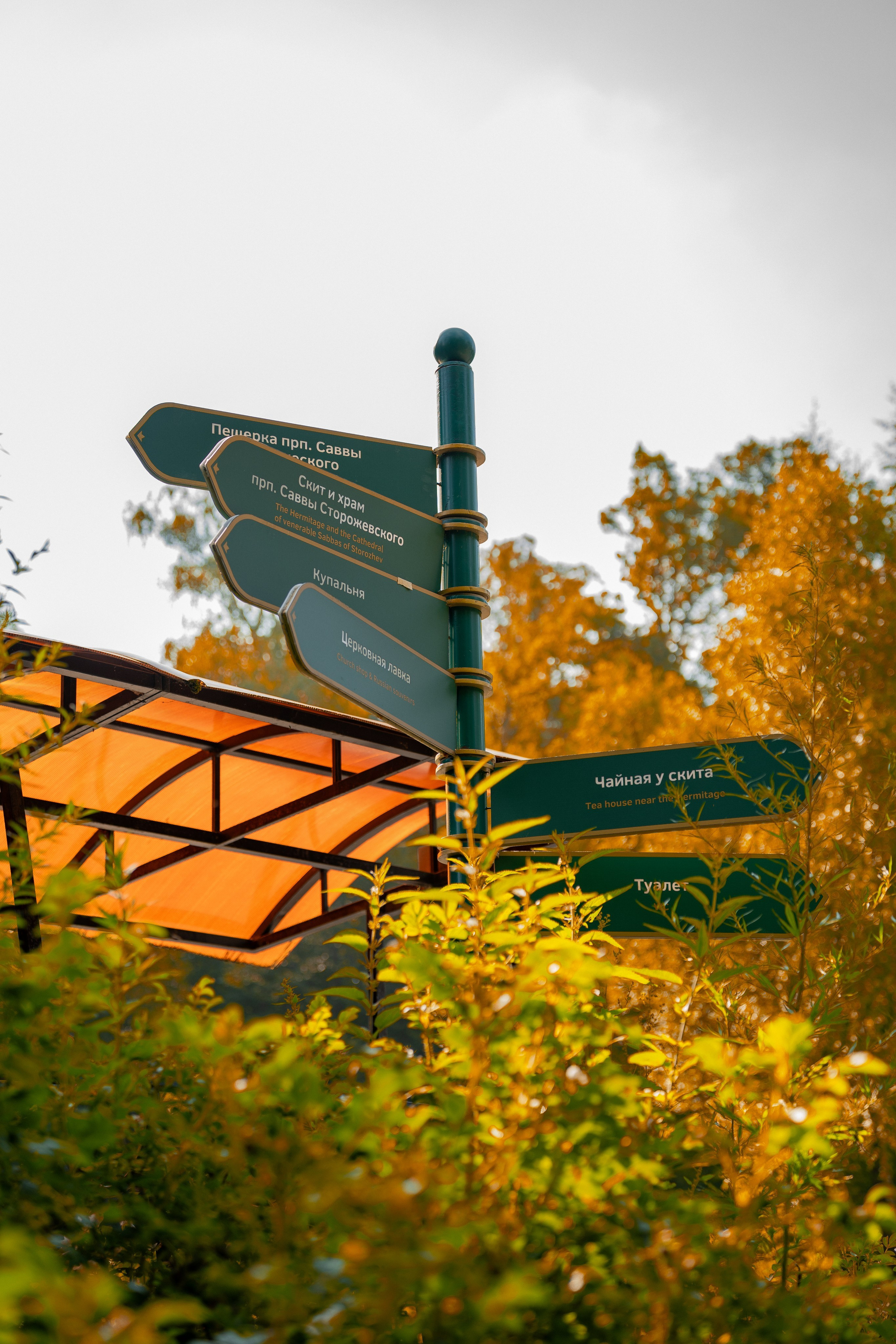 ATMOSPHERE. Фотограф Юрина Ксения Москва