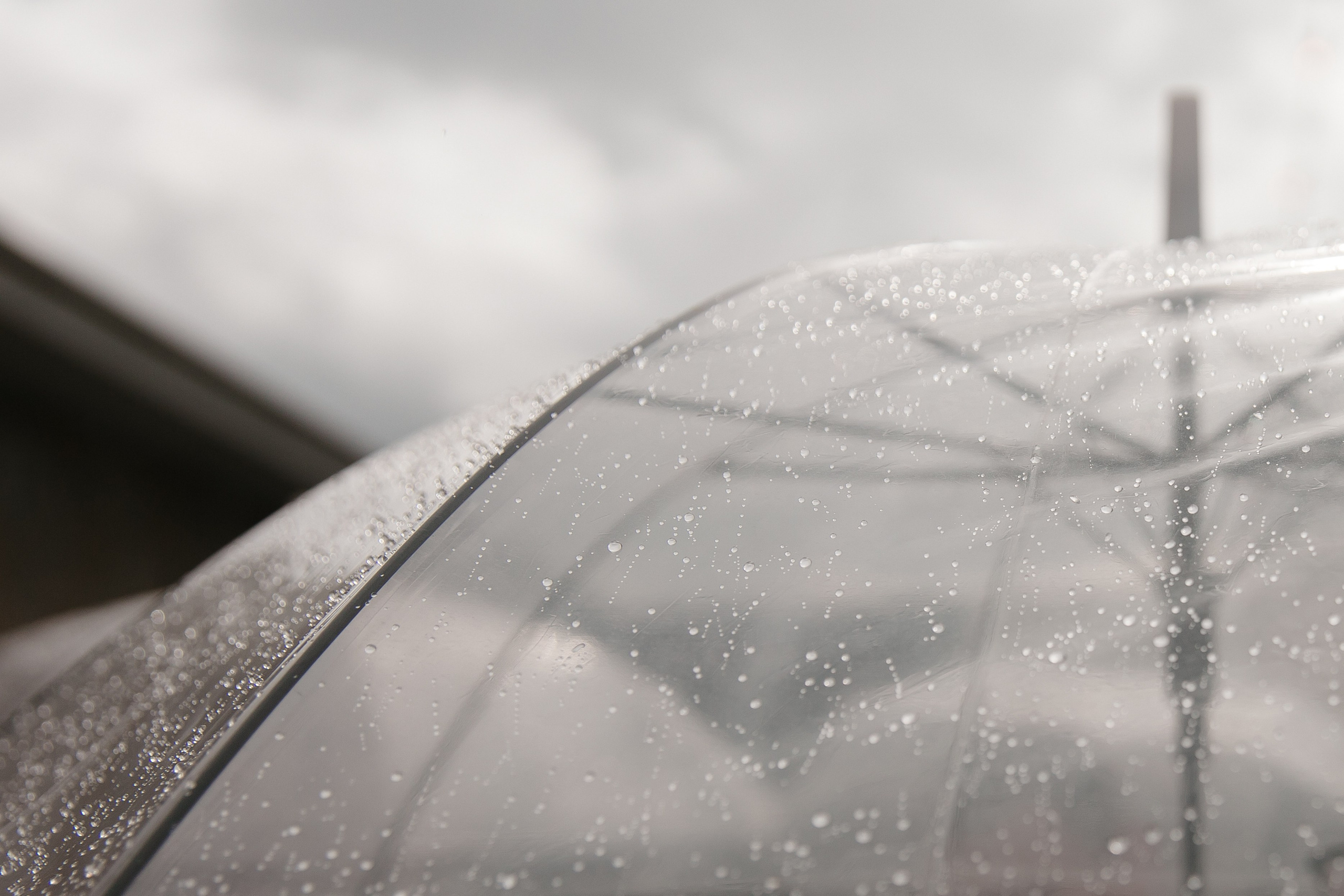 Modern rustic. Свадебный фотограф Екатеринбург Алексей Ладыгин