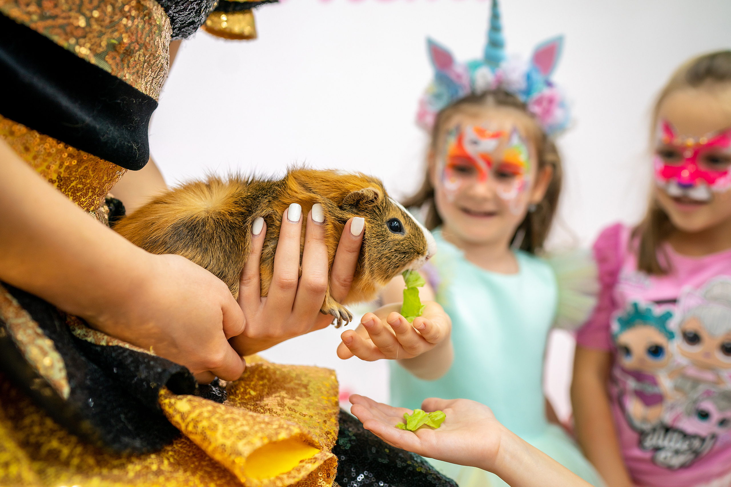 День Рождения Александры, 5 ЛЕТ. Фотограф на Крещение и Венчание в Красноярске Рамазанова Юлия