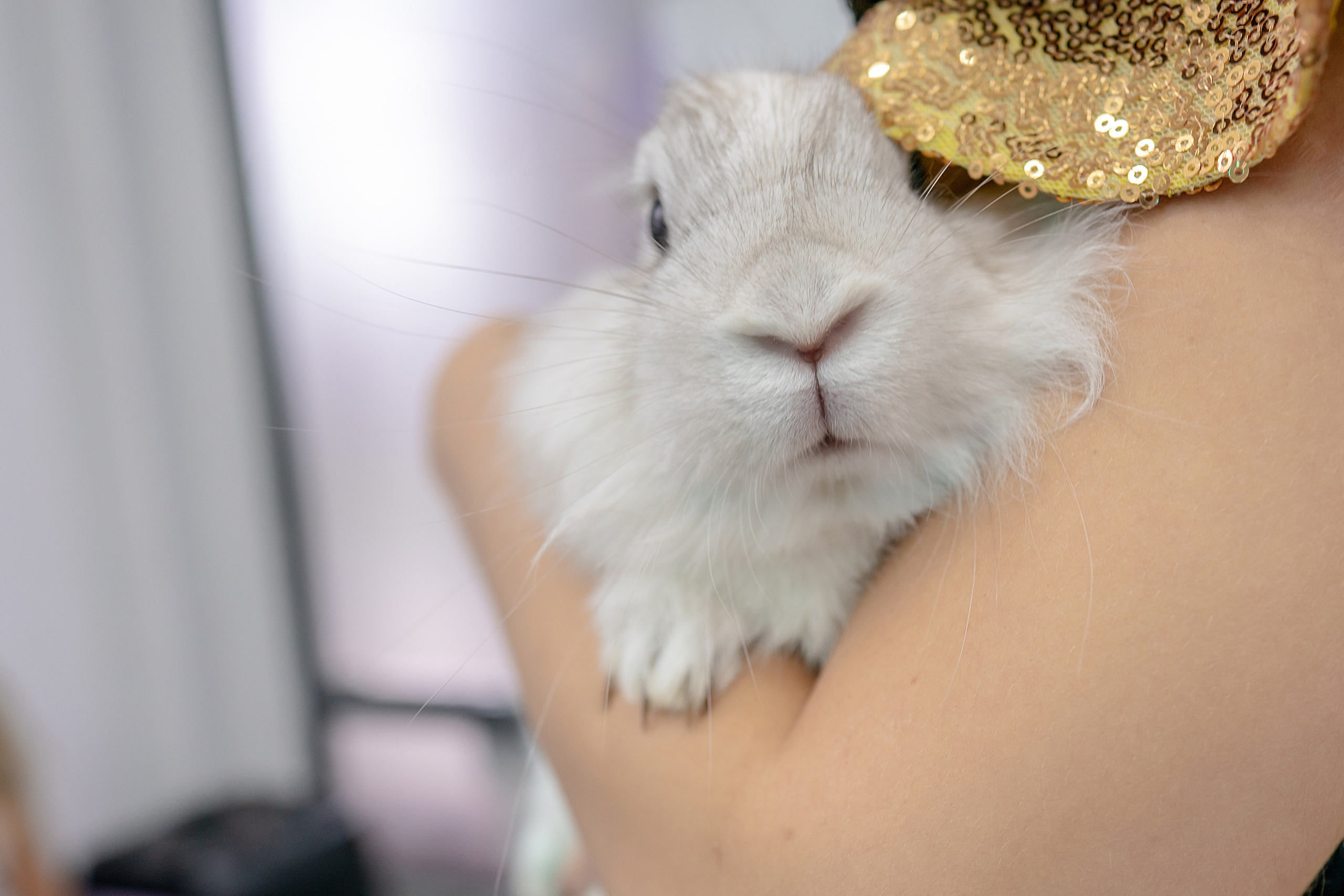 День Рождения Александры, 5 ЛЕТ. Фотограф на Крещение и Венчание в Красноярске Рамазанова Юлия