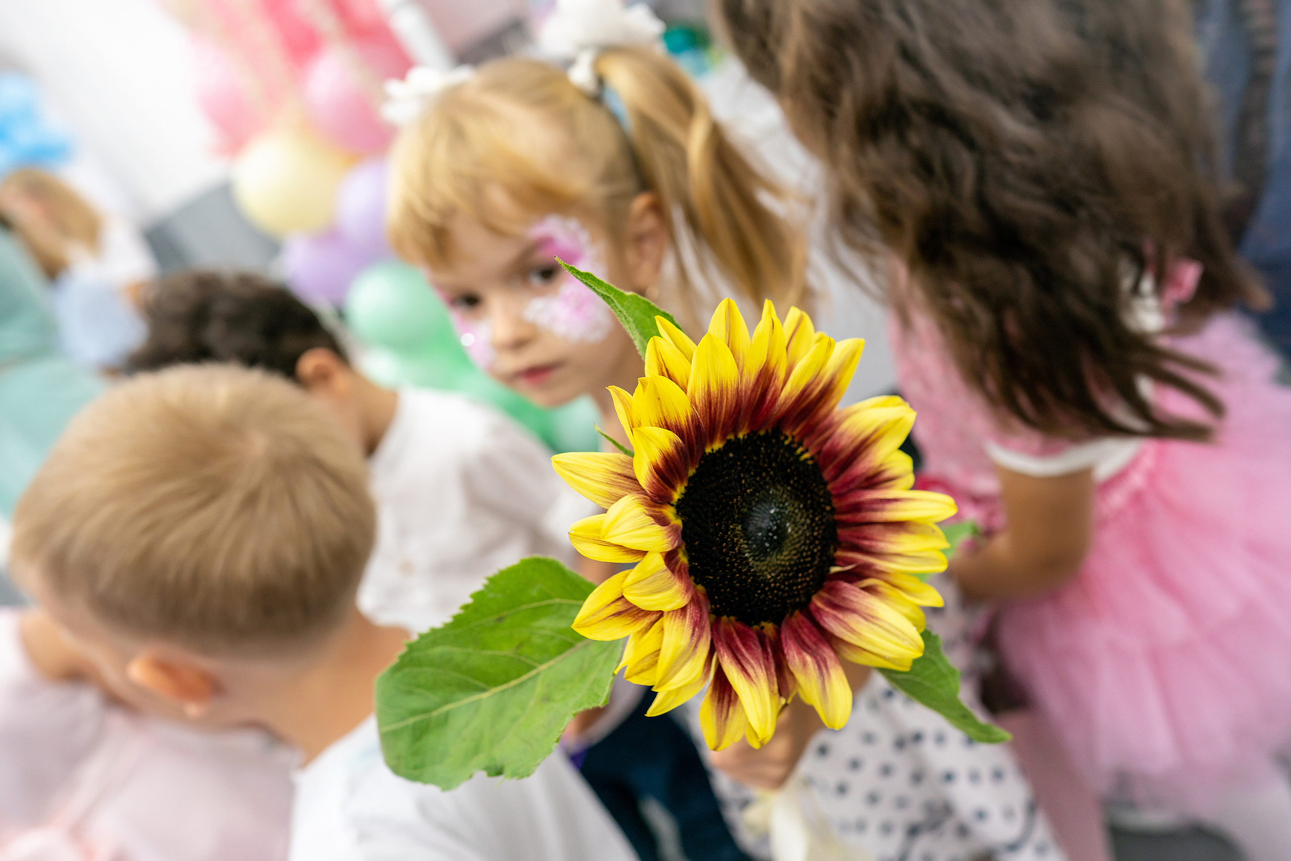 День Рождения Александры, 5 ЛЕТ. Фотограф на Крещение и Венчание в Красноярске Рамазанова Юлия