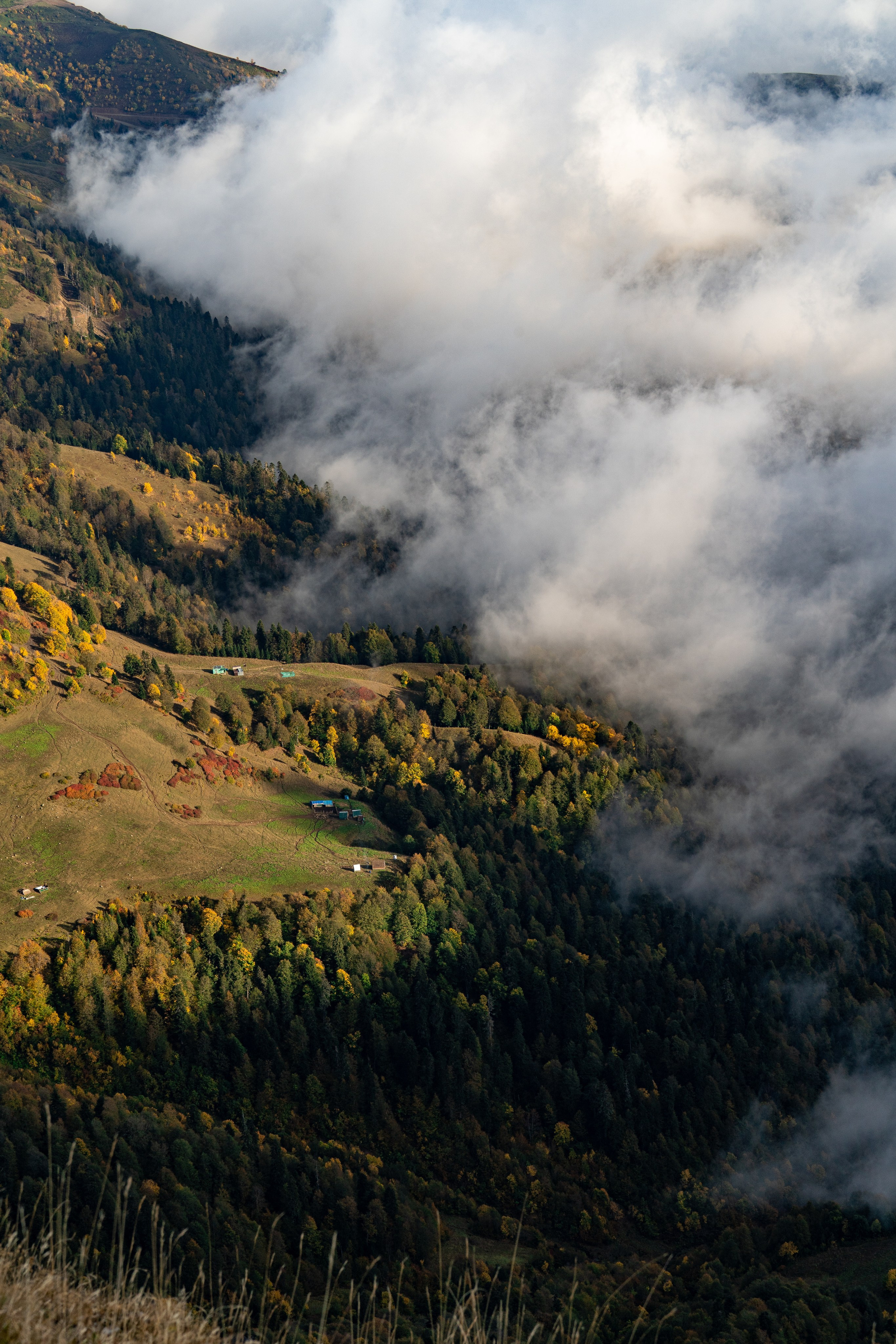 Путешествия и пейзаж. Репортажный фотограф в Красной Поляне и Сочи Павлюченко Екатерина